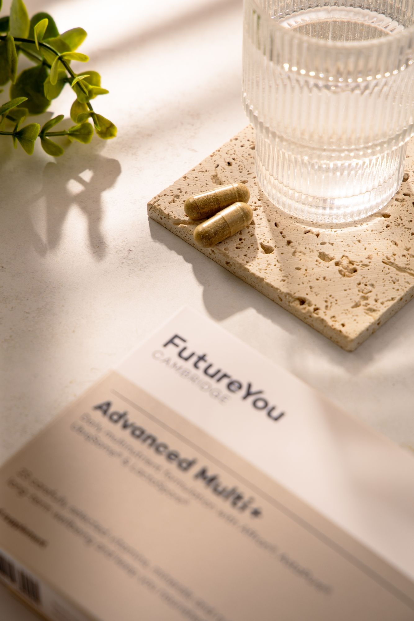 Wellness product branding materials displayed in natural sunlight.