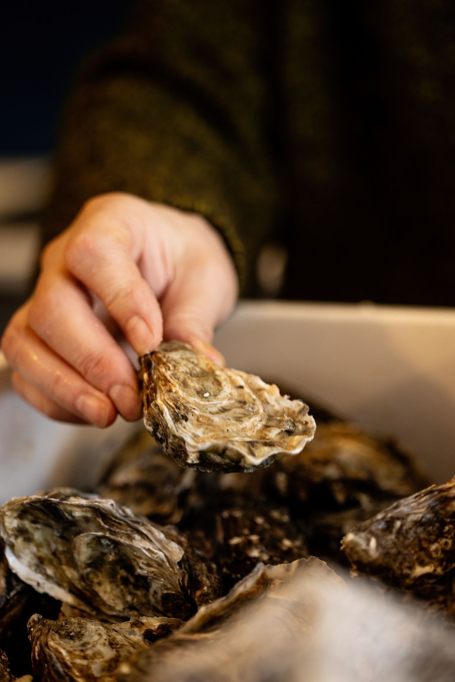 Fresh oysters being served on a bed of crushed ice in a restaurant setting, with hands reaching to select them.