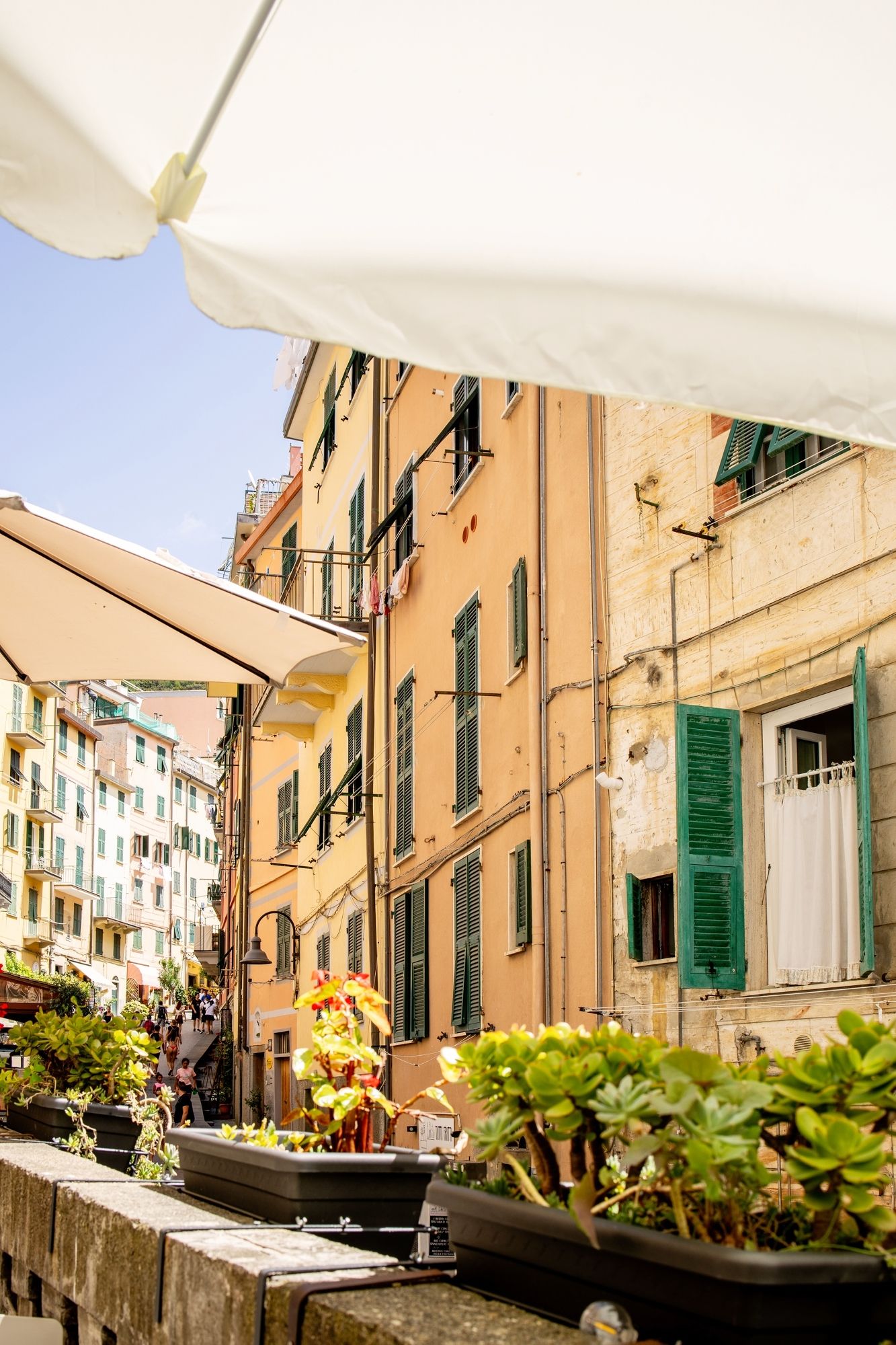 Charming Italian street view with colorful buildings, green shutters, and potted plants.