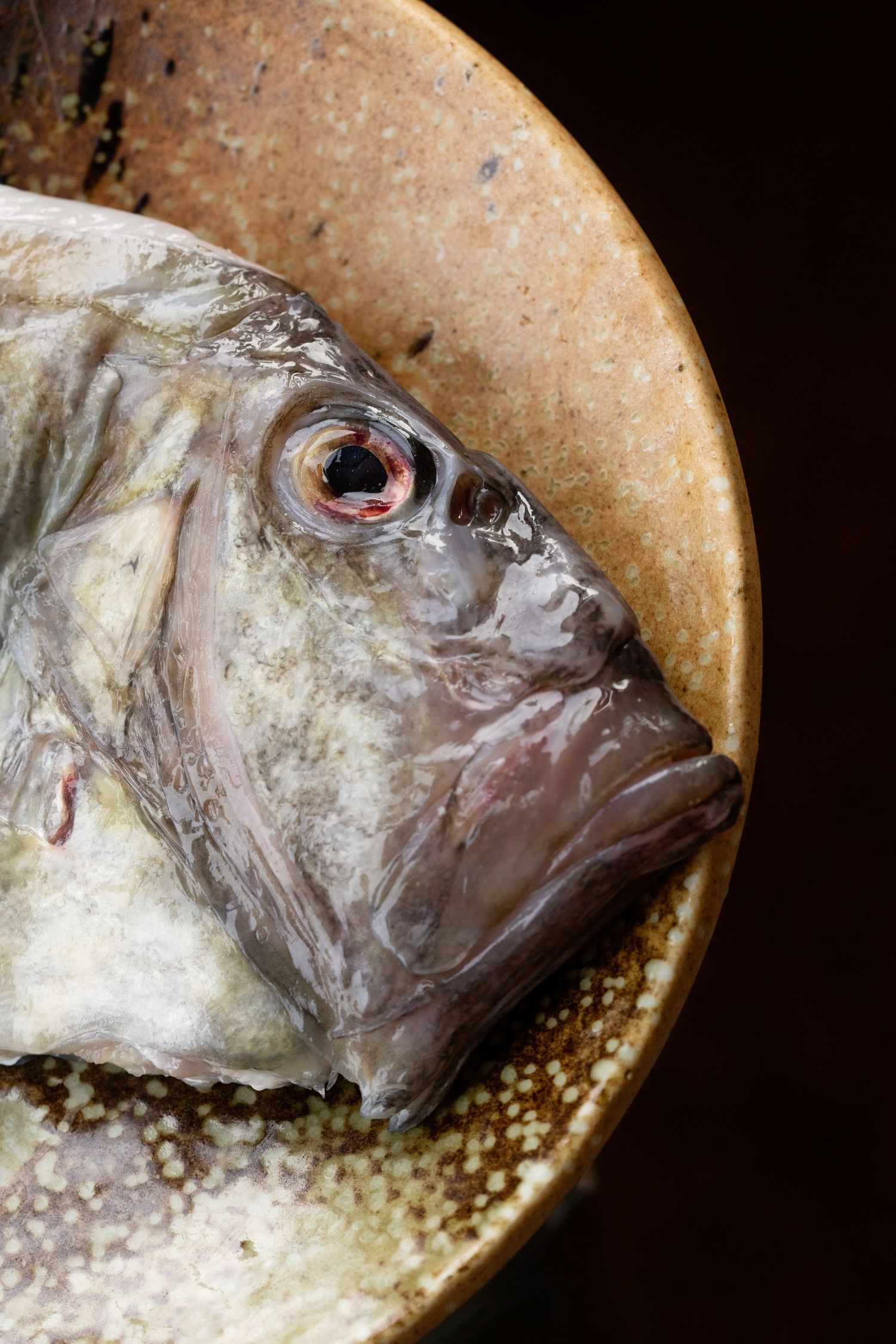 Close-up of a fresh fish head with silvery scales on a rustic plate against dark background.