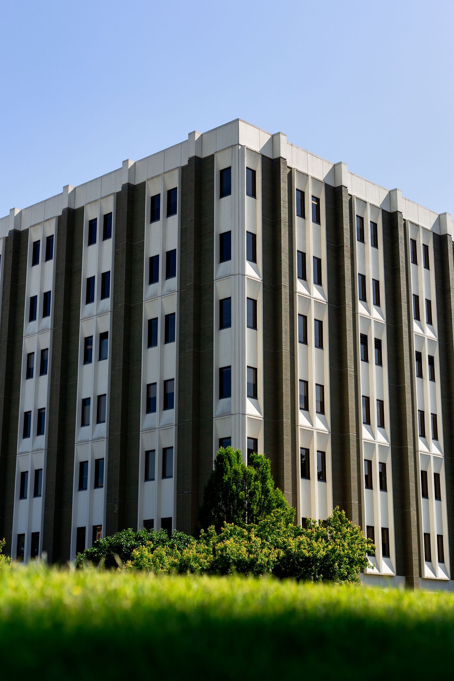 Tall brutalist office building with vertical concrete columns, multiple floors of windows, green trees and grass foreground, blue sky.