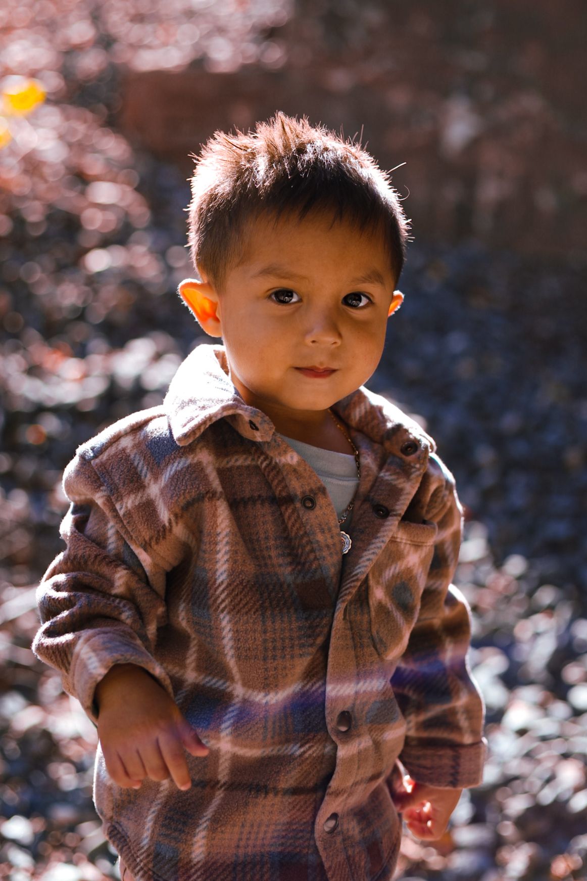 An adorable young boy in a plaid flannel shirt stands outdoors in dappled autumn sunlight.