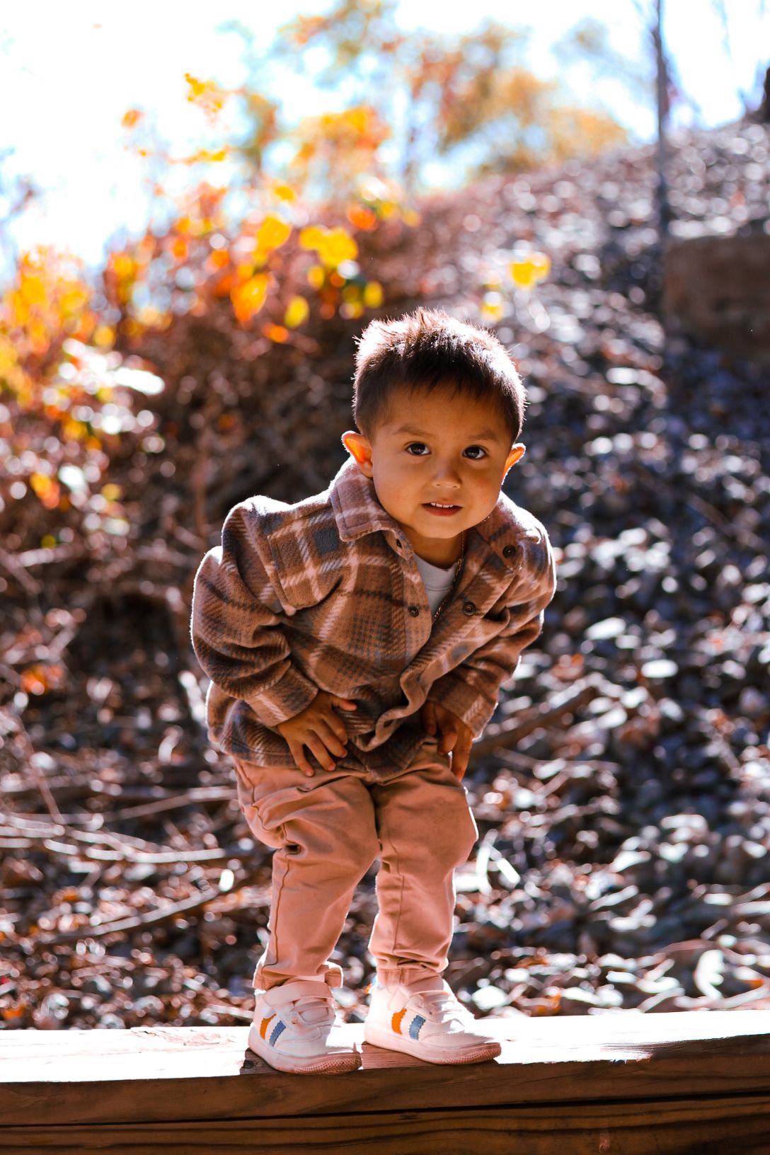 A young boy in a plaid shirt leans forward on a wooden surface surrounded by autumn foliage.
