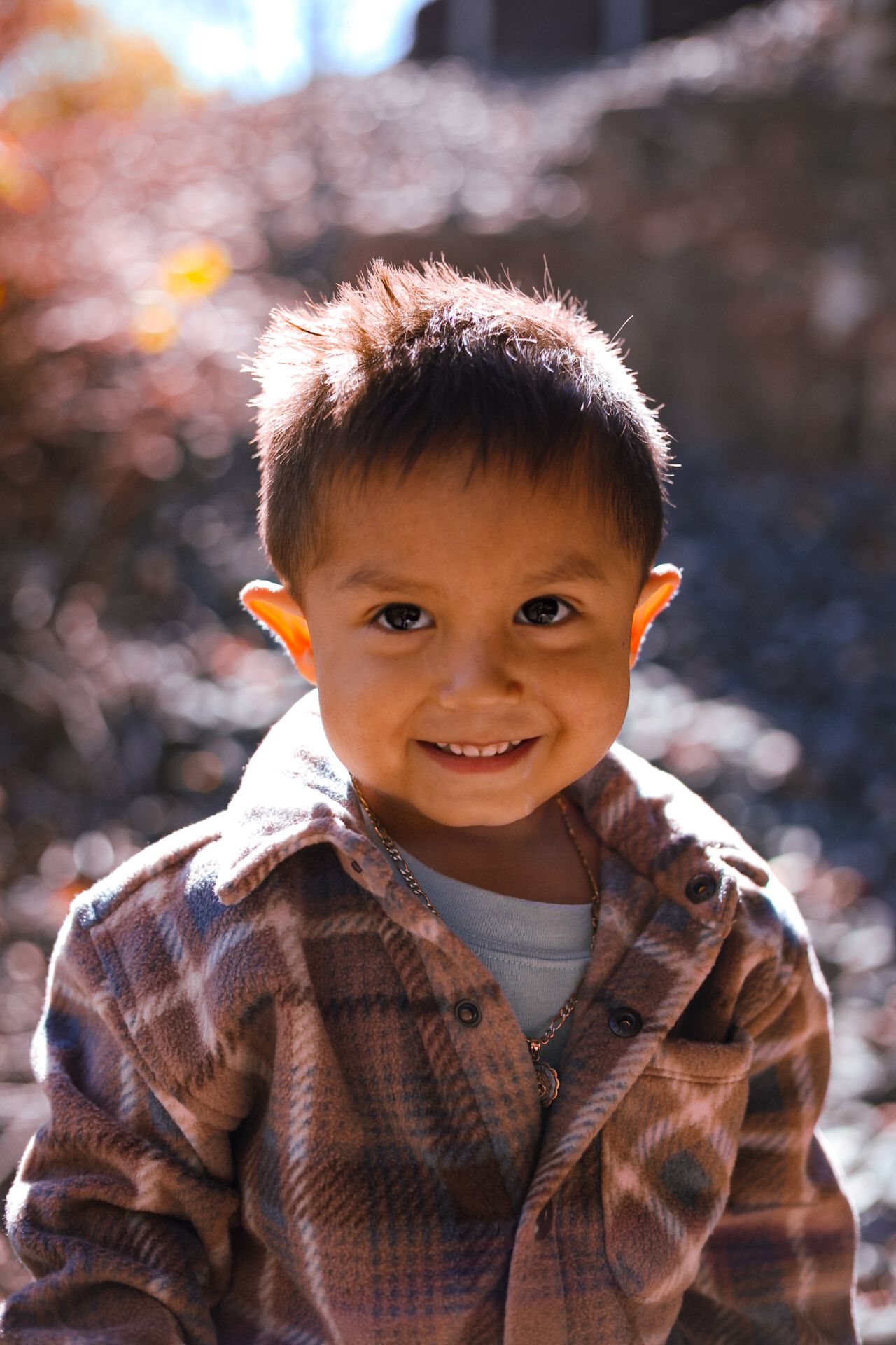 A smiling young boy in a plaid shirt poses outdoors in warm autumn sunlight.