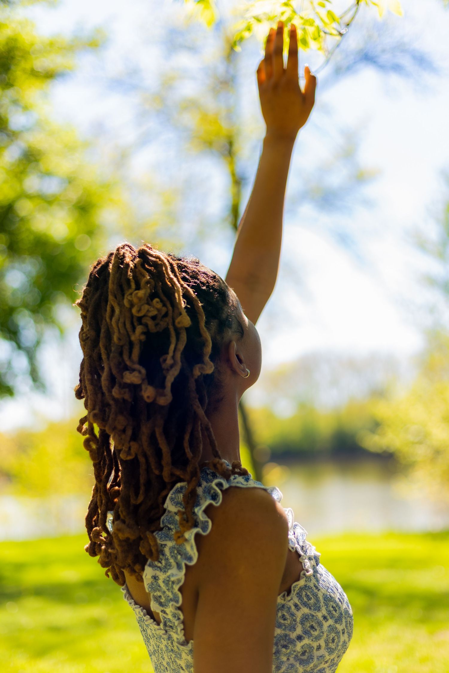Back view of woman with long braids reaching up to touch tree leaves in sunny green park by water.