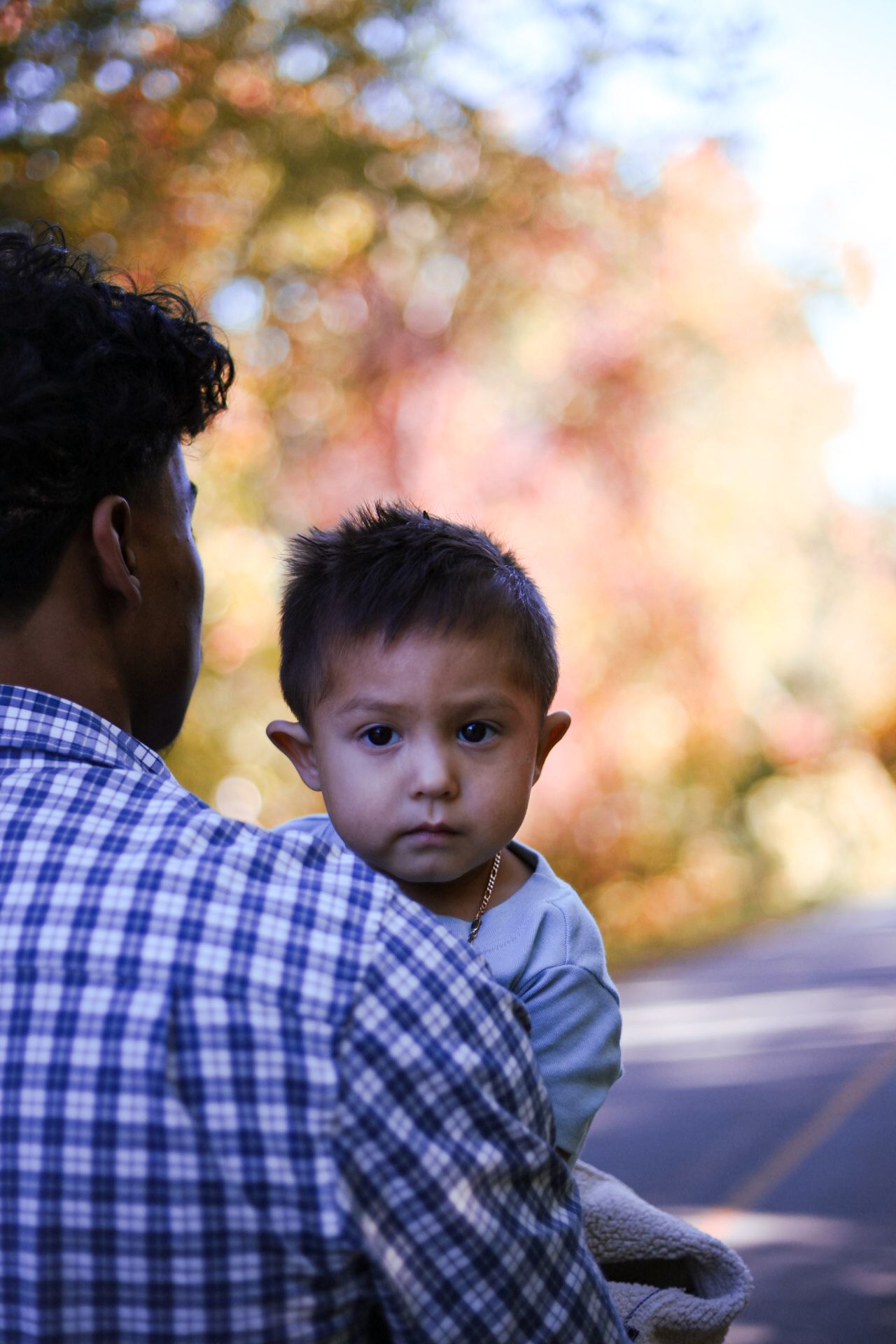 Father holding young toddler boy outdoors surrounded by colorful autumn foliage.
