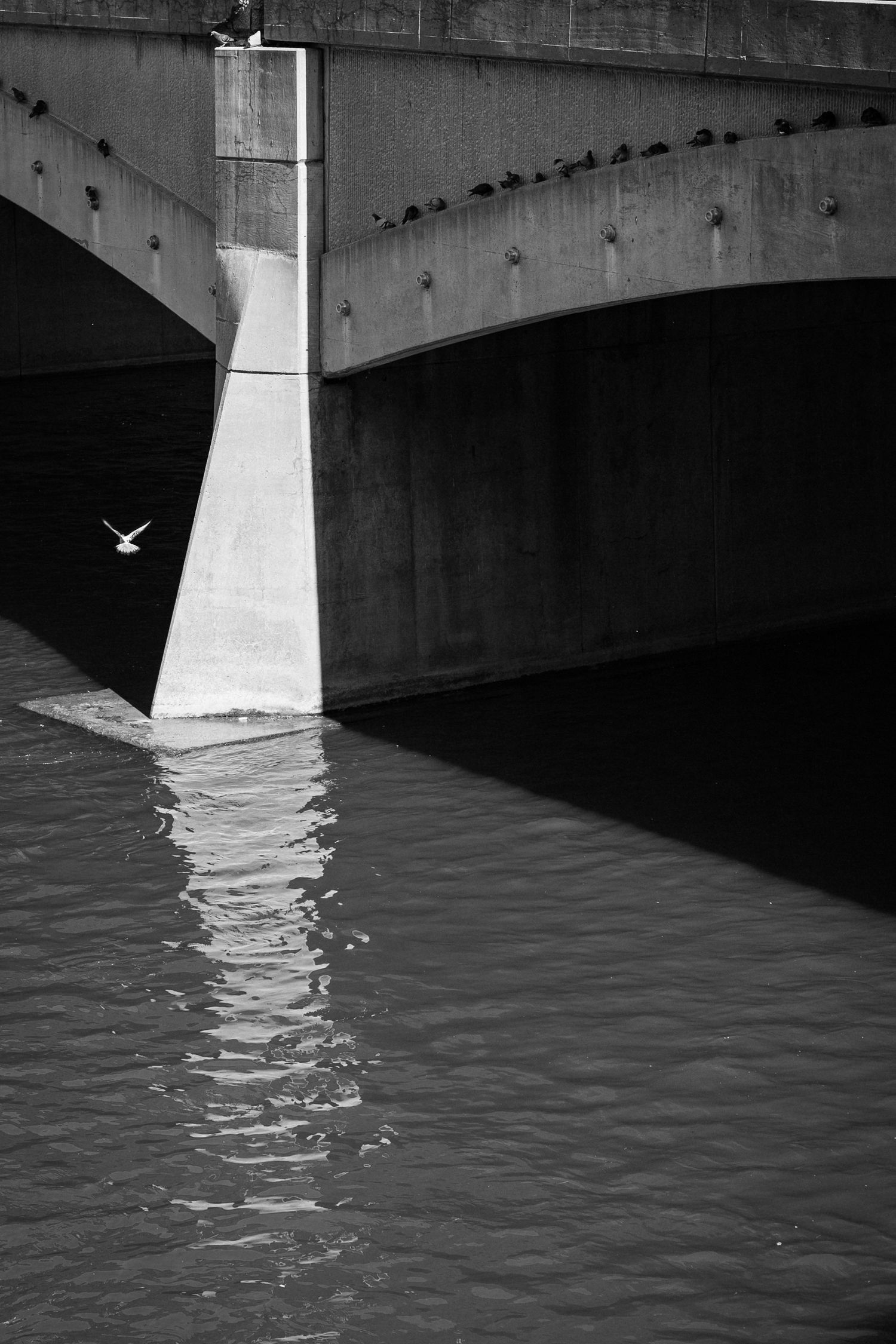Black and white photo of a concrete bridge arch over rippling water with a bird in flight beneath it.