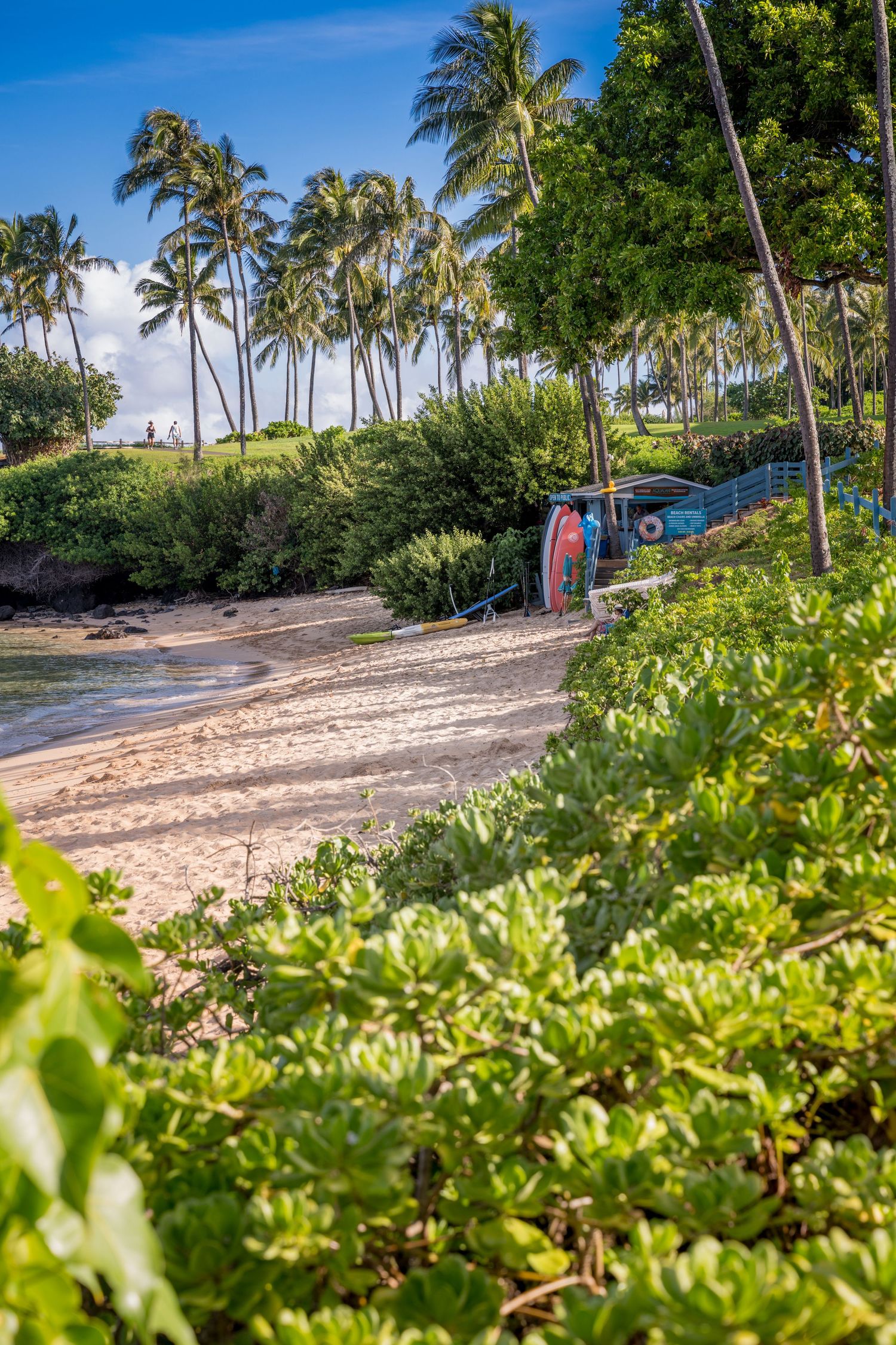 Early morning in Kapalua Bay, Maui