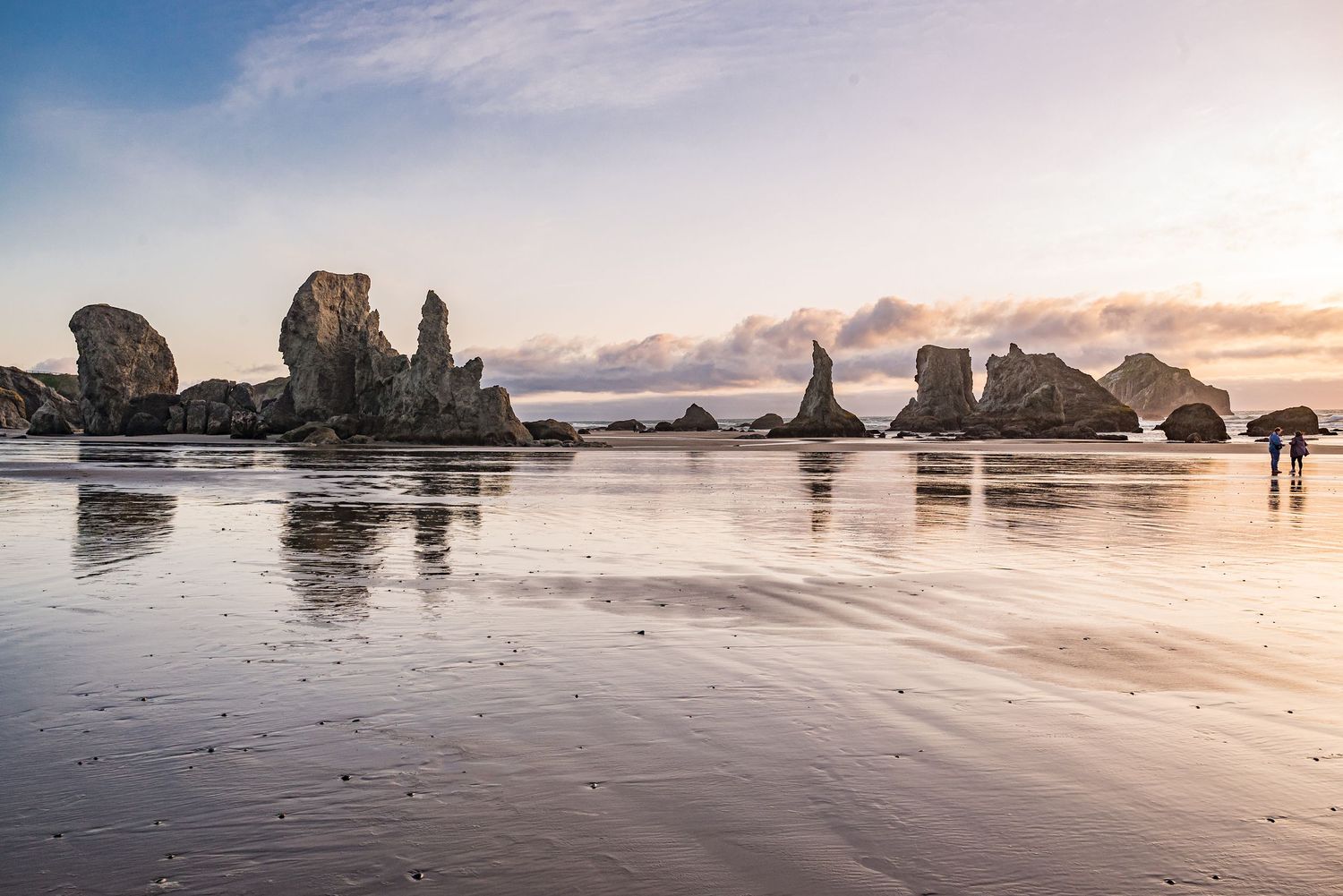 Landscape in Bandon, Oregon