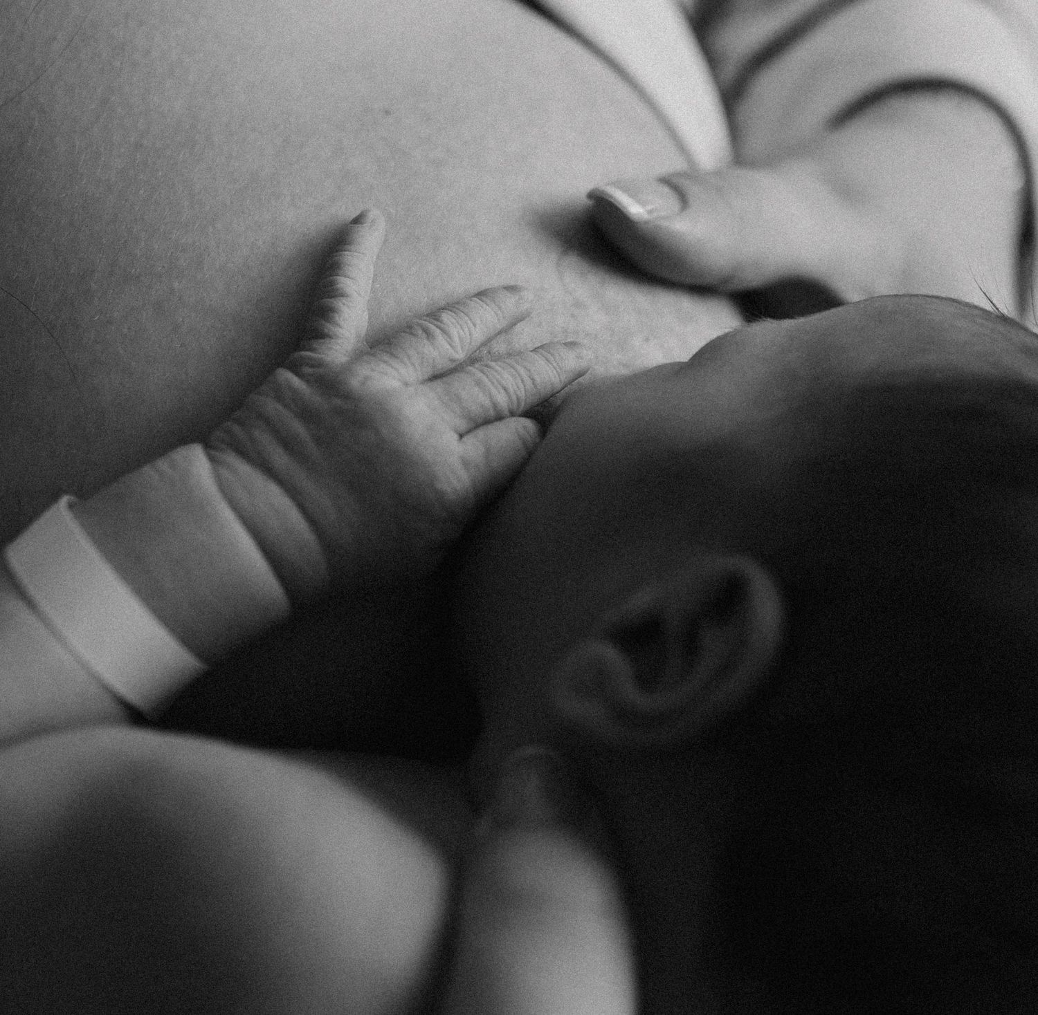 Fresh 48 Photography, St.Thomas Fresh 48 Photographer, Home Birth Photographer, Birth Photographer, Birth Photography, Fresh 48 Photographer