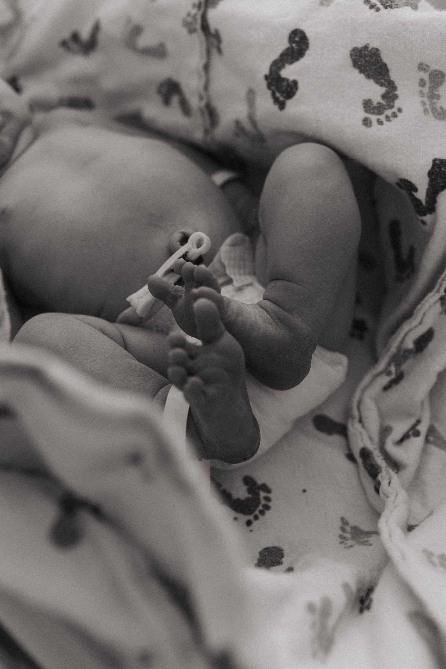 Fresh 48 Photography, Brantford Fresh 48 Photographer, Home Birth Photographer, Birth Photographer, Birth Photography, Fresh 48 Photographer