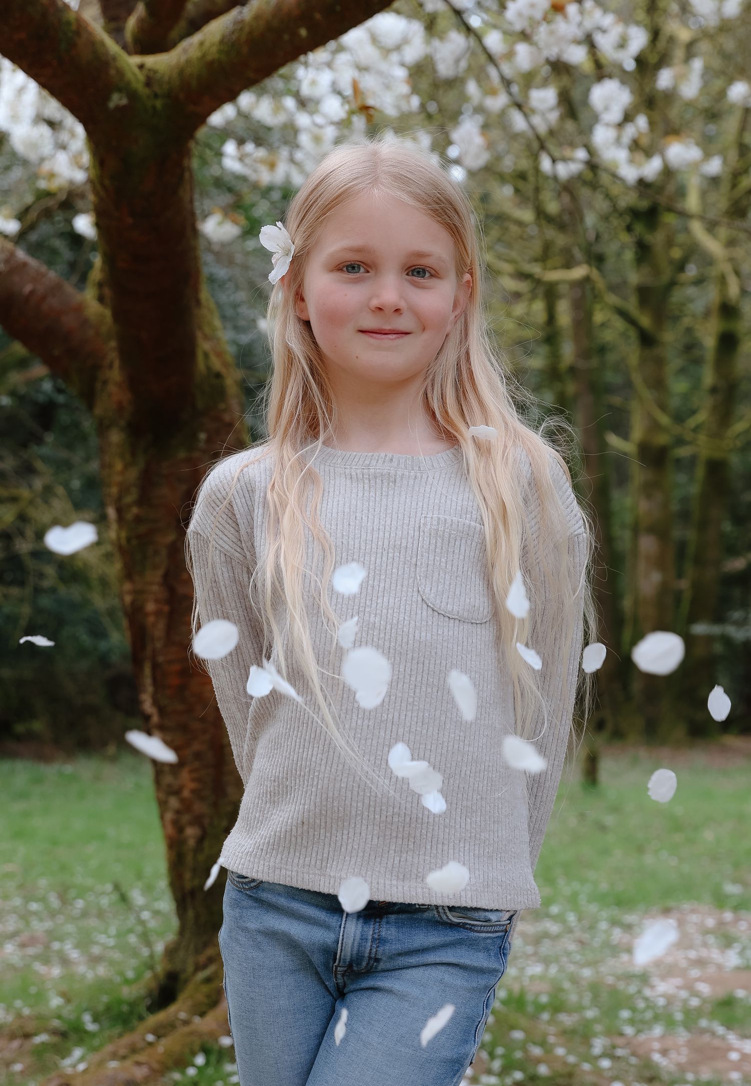 Person in gray sweater with white dots standing under tree branches with falling petals.
