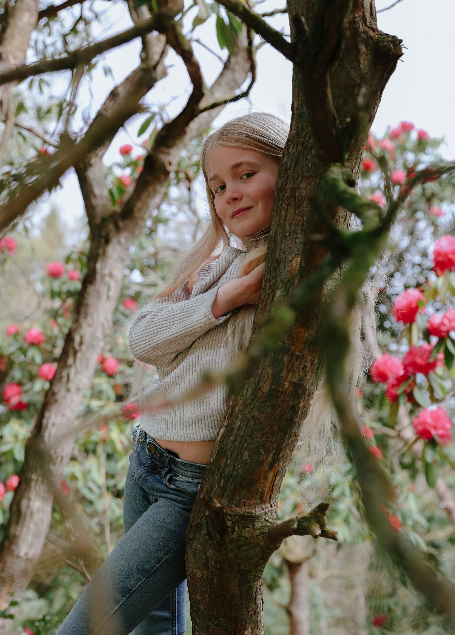 Natural outdoor portrait in a flowering tree with pink blossoms and rustic branches.