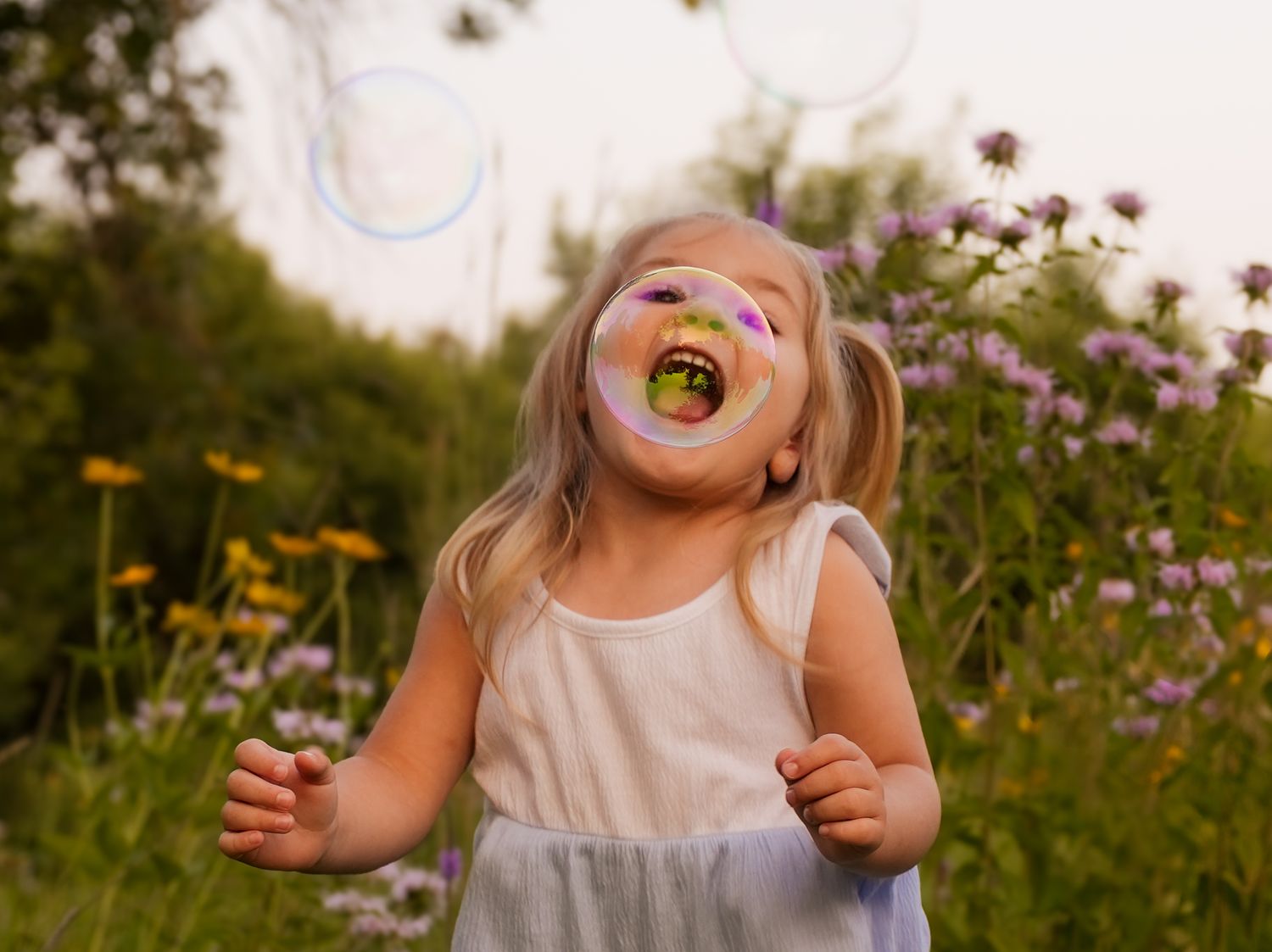 A series of four candid photos showing joyful moments in a wildflower meadow during golden hour.