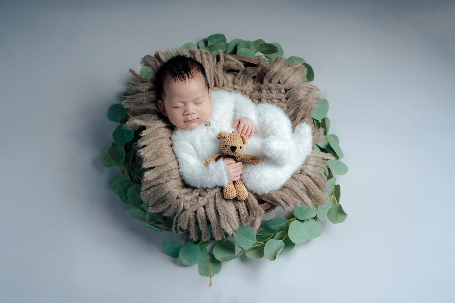 A sleeping newborn lies peacefully in a brown nest-like prop surrounded by green foliage in a professional photo series.