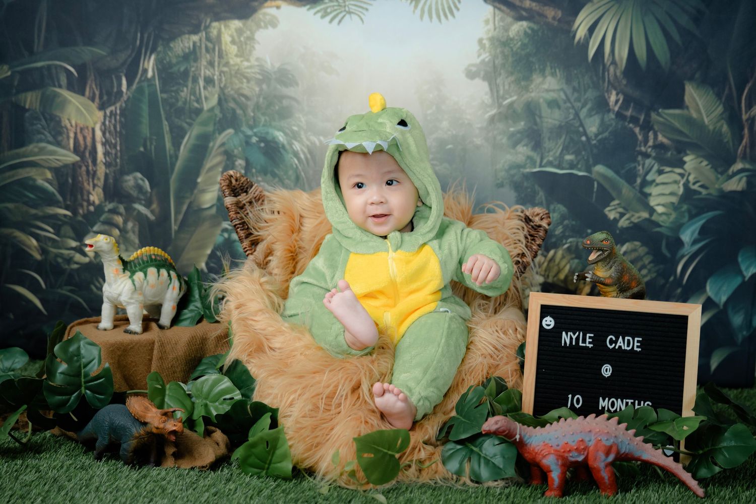 Whimsical dinosaur-themed photo setting with plush prehistoric creatures and jungle foliage.