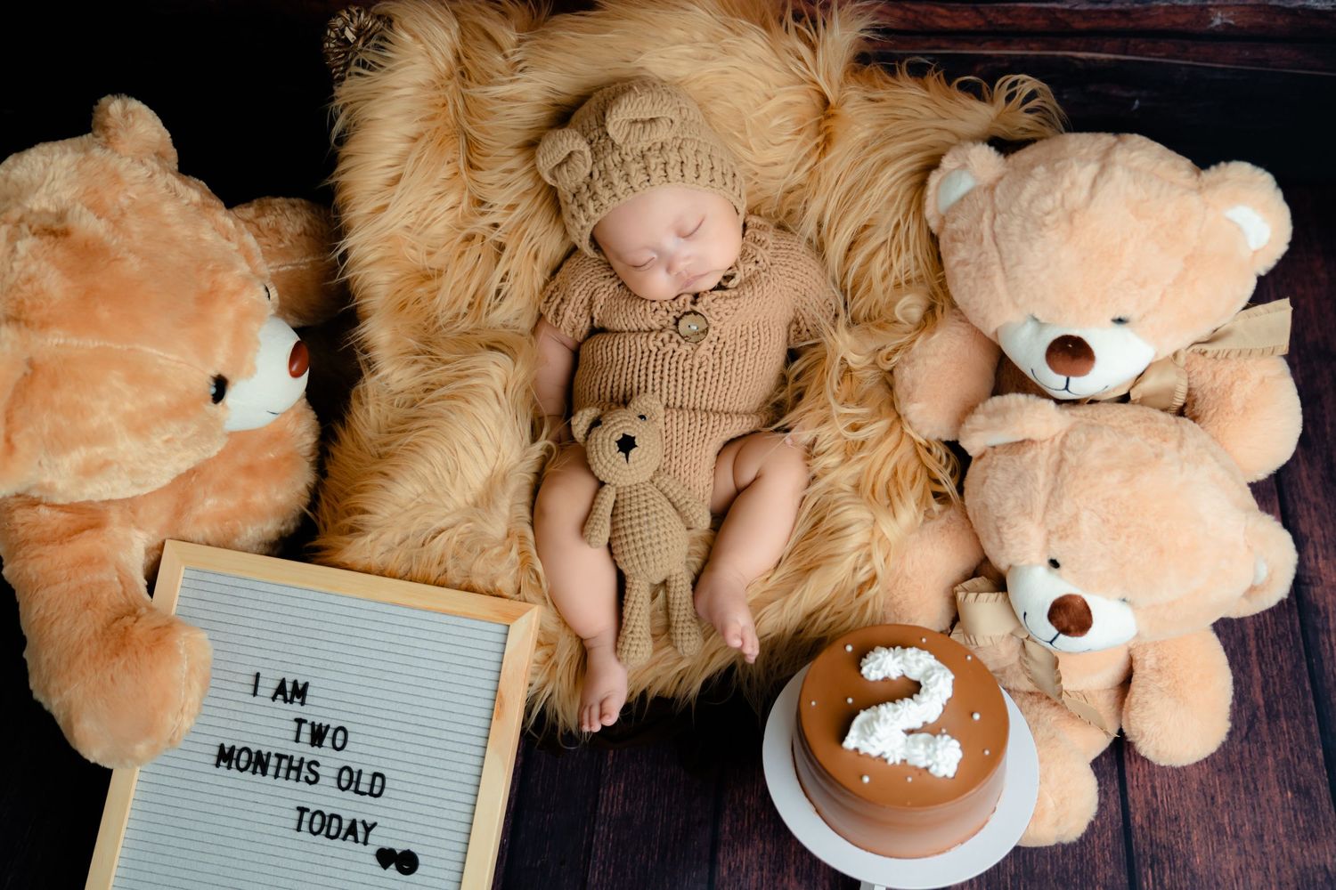 Teddy bear themed milestone photos with plush toys and wooden signage.