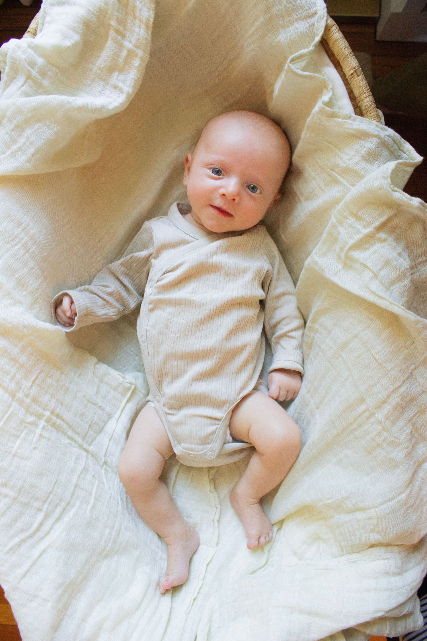 Newborn baby laying in bassinet during a family photography session in Fairfield County, CT.