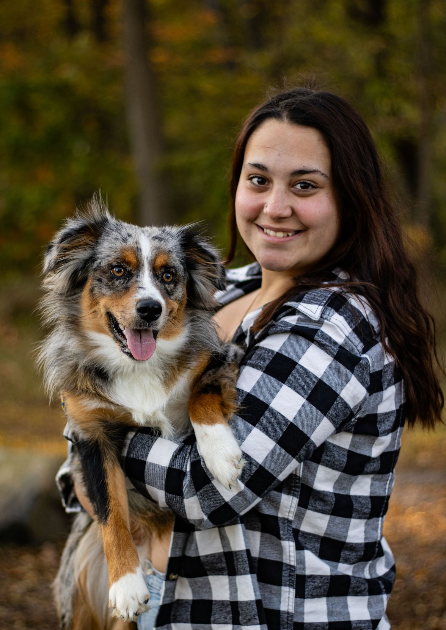 Playful portrait session with Australian Shepherd dog wearing buffalo plaid.