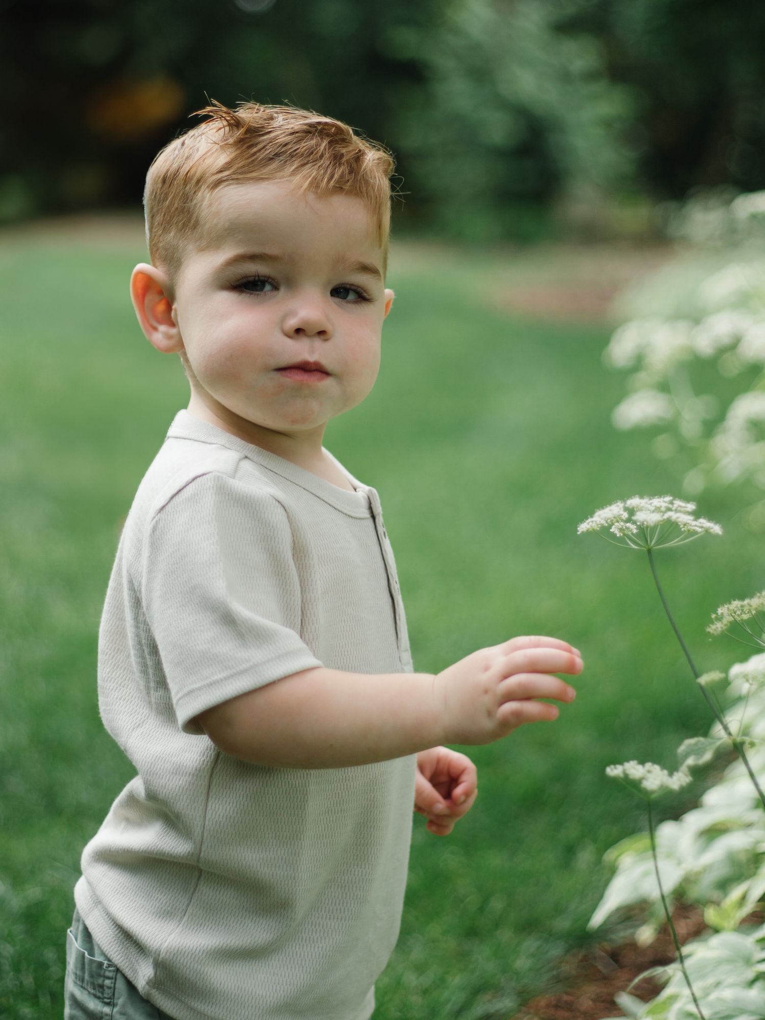 Toddler in light colored shirt exploring outdoors among white wildflowers.