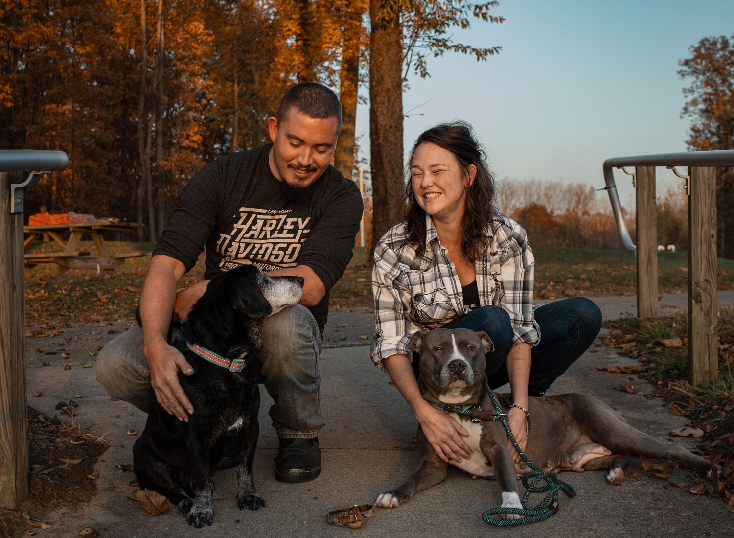 People sitting with their dogs on outdoor path during sunset with fall foliage.