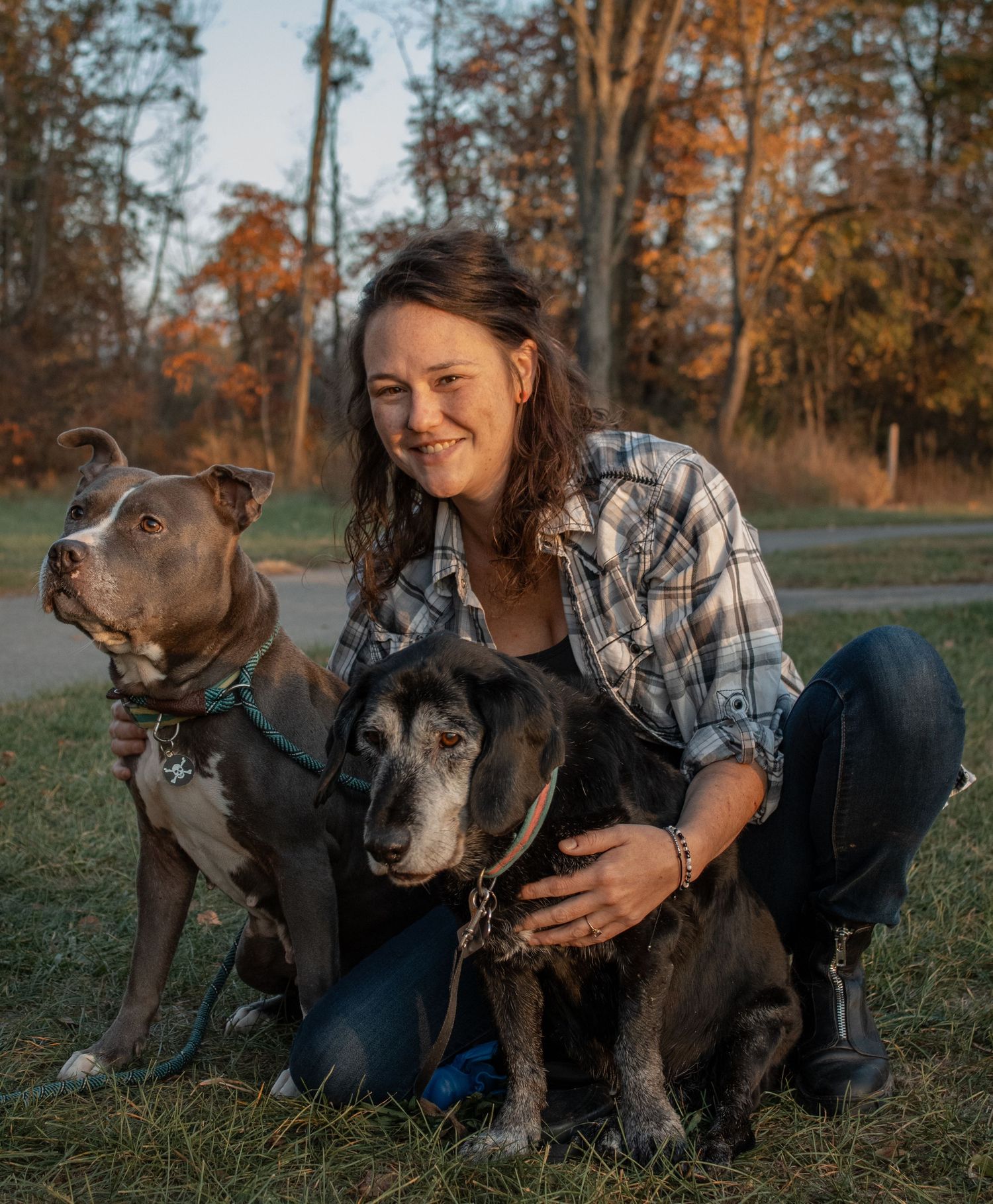 Two pit bull type dogs relaxing on grass with their owner in fall setting.