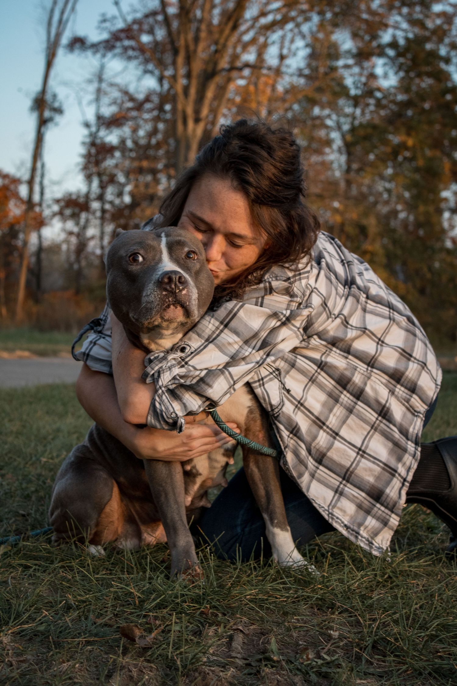 Person in plaid shirt cuddling with grey pit bull dog on autumn grass.