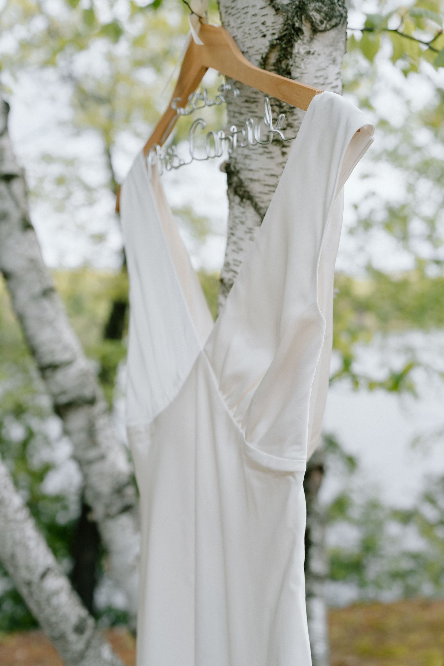 White wedding dress hanging from birch tree branches in natural outdoor setting.