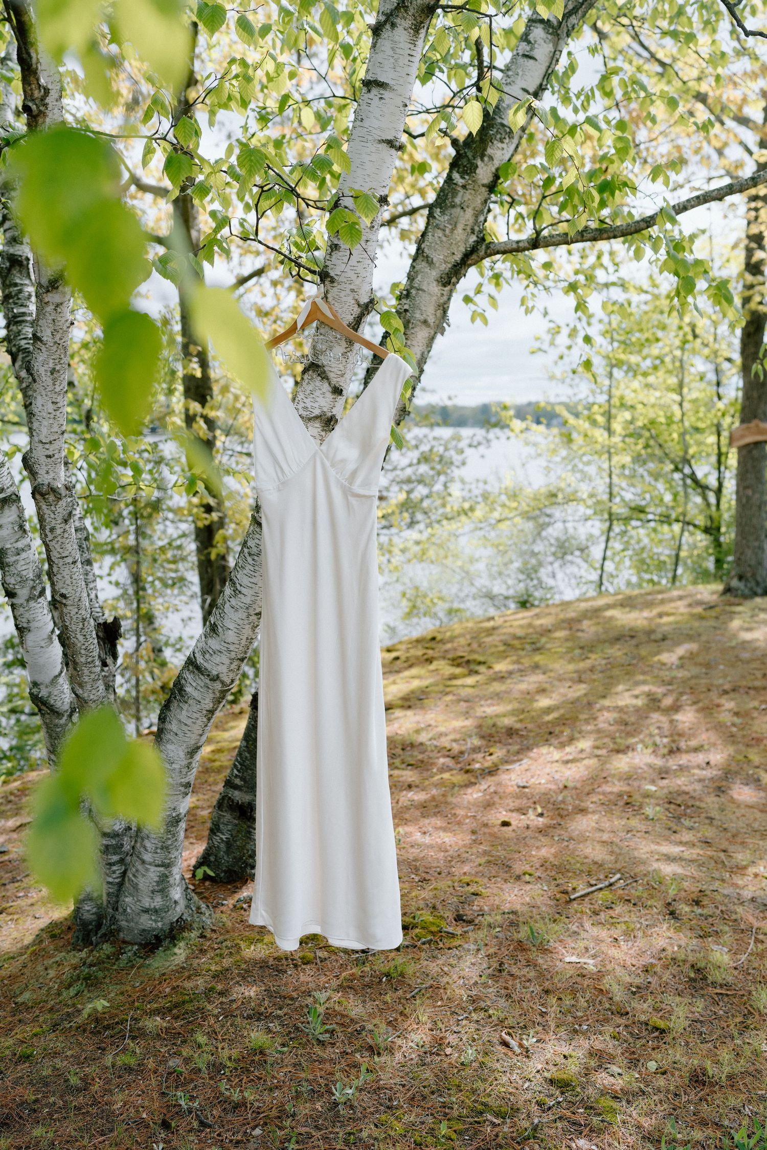 A white wedding dress hangs elegantly among birch trees in a natural outdoor setting.