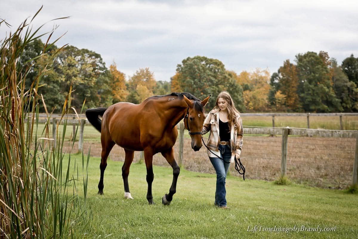 photographer: wedding photographer; Michigan photographer; engagement; graduation; family photography: senior photographer; portrait; photos