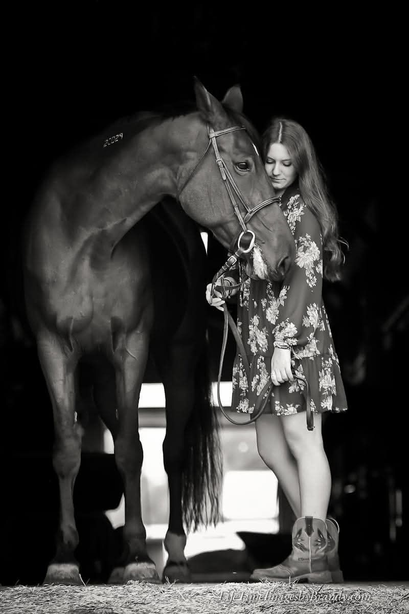 photographer: wedding photographer; Michigan photographer; engagement; graduation; family photography: senior photographer; portrait; photos