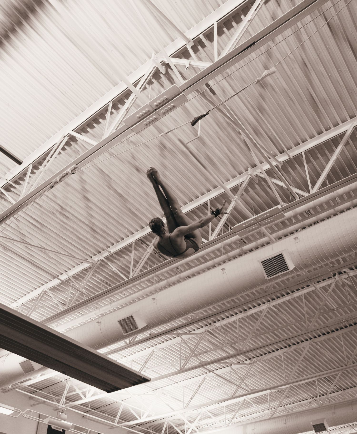 Maggie Turpan Diving