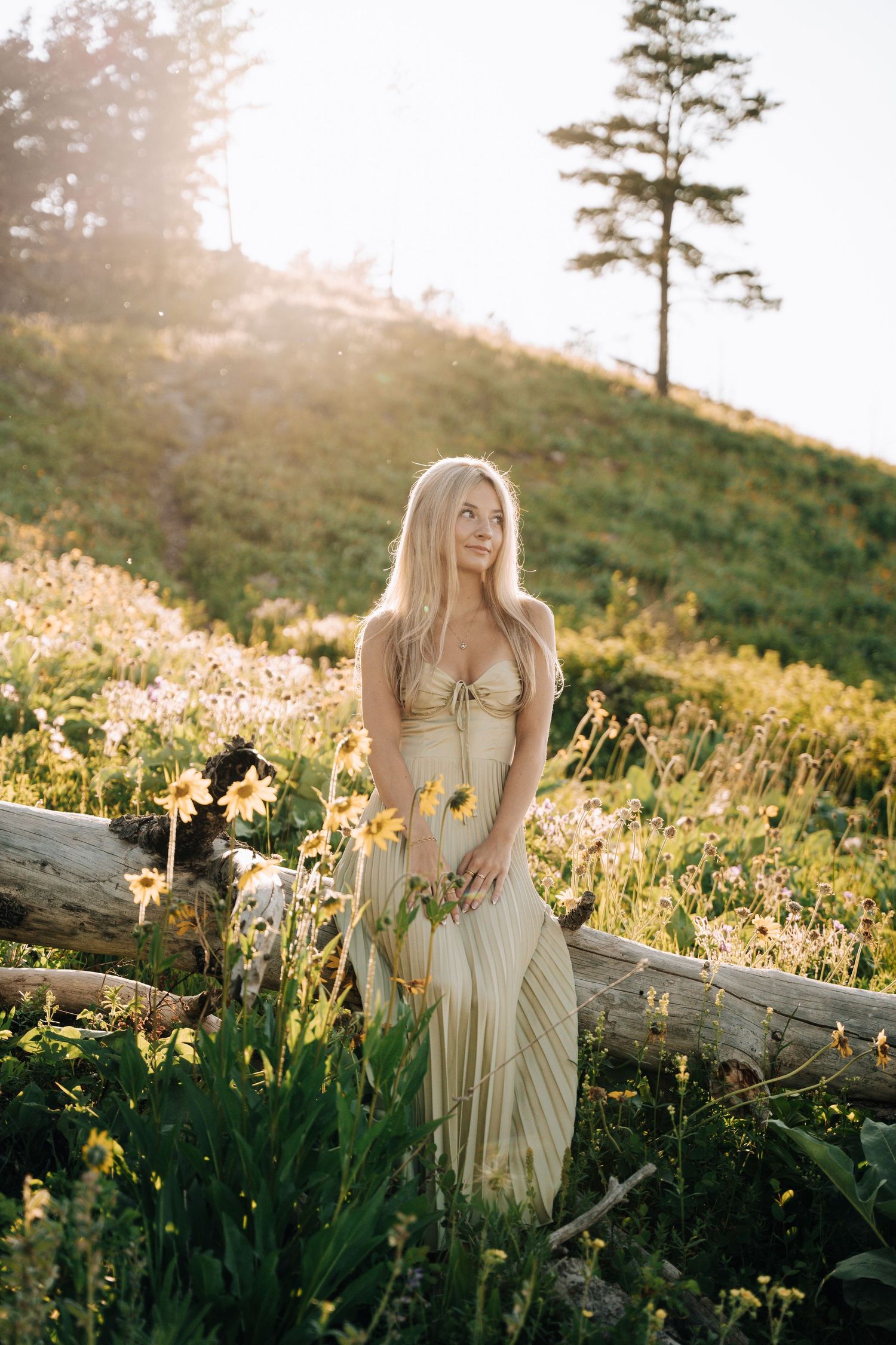 Girl in the middle of a yellow flower field. Mountains and open green spaces in the background.