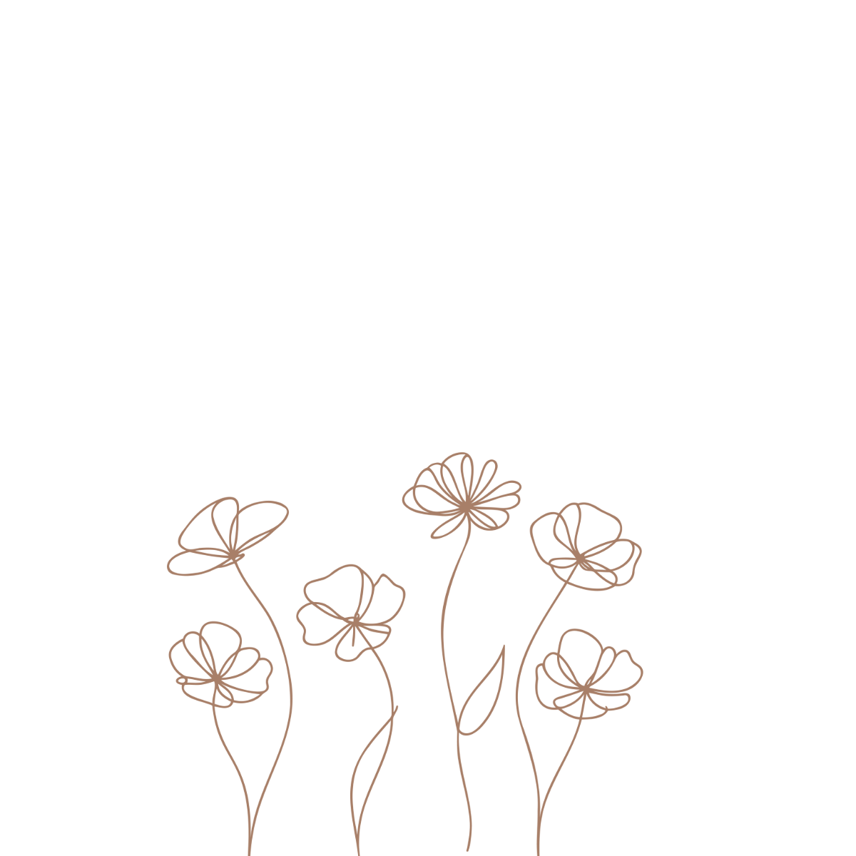 Simple line drawings of poppies and wildflowers in a delicate brown outline style.