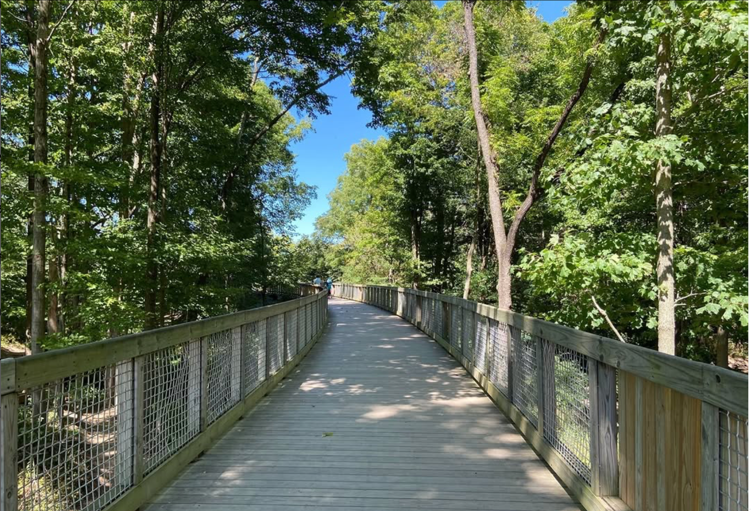 Tree-lined elevated walkway with metal railings stretches into the distance.