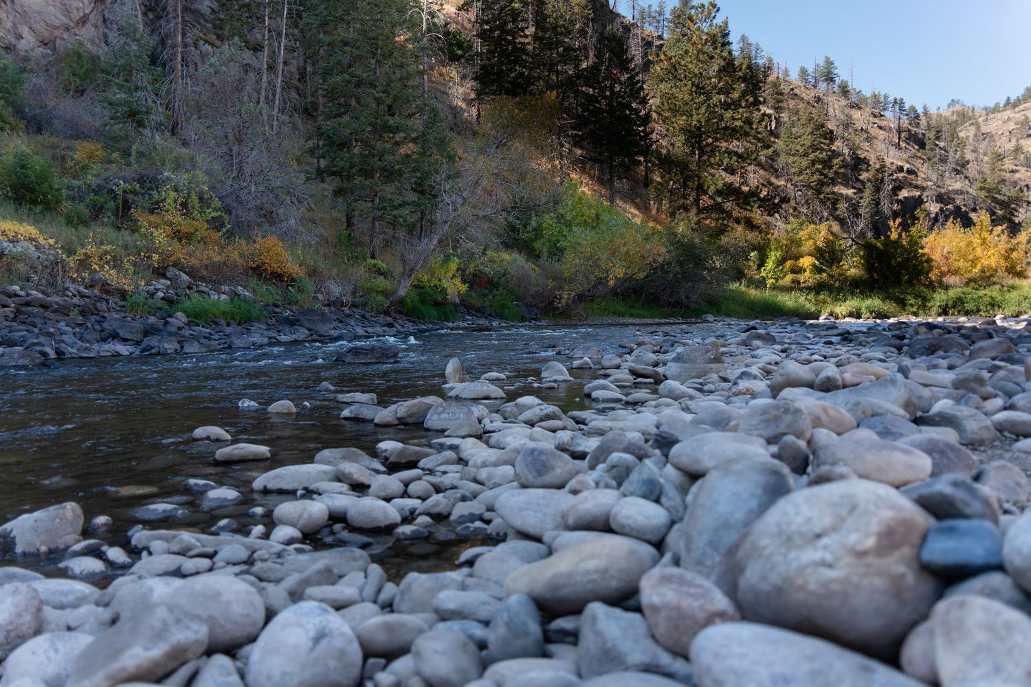 A scenic mountain river flows through a rocky riverbed surrounded by autumn foliage and evergreen trees.