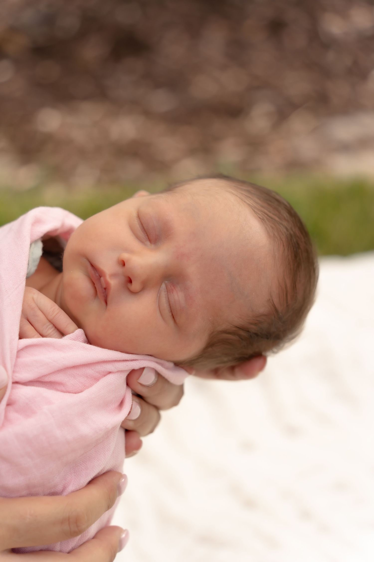Sleeping newborn wrapped in soft pink blanket during outdoor photography session.