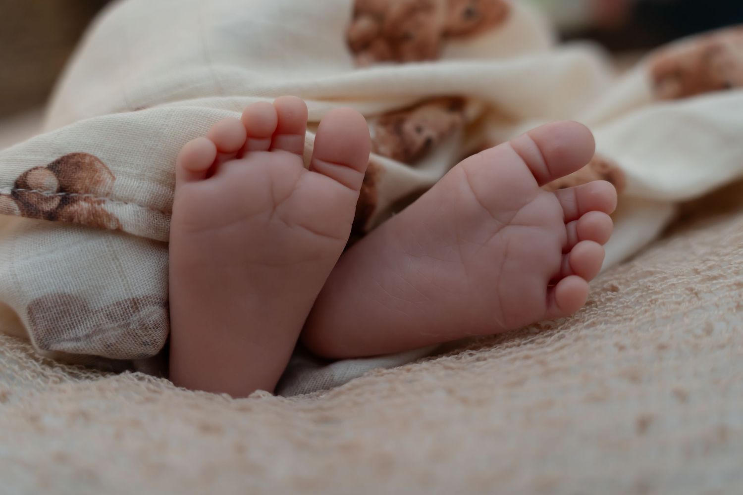A series of close-up shots showing tiny baby feet resting on a soft, textured blanket.