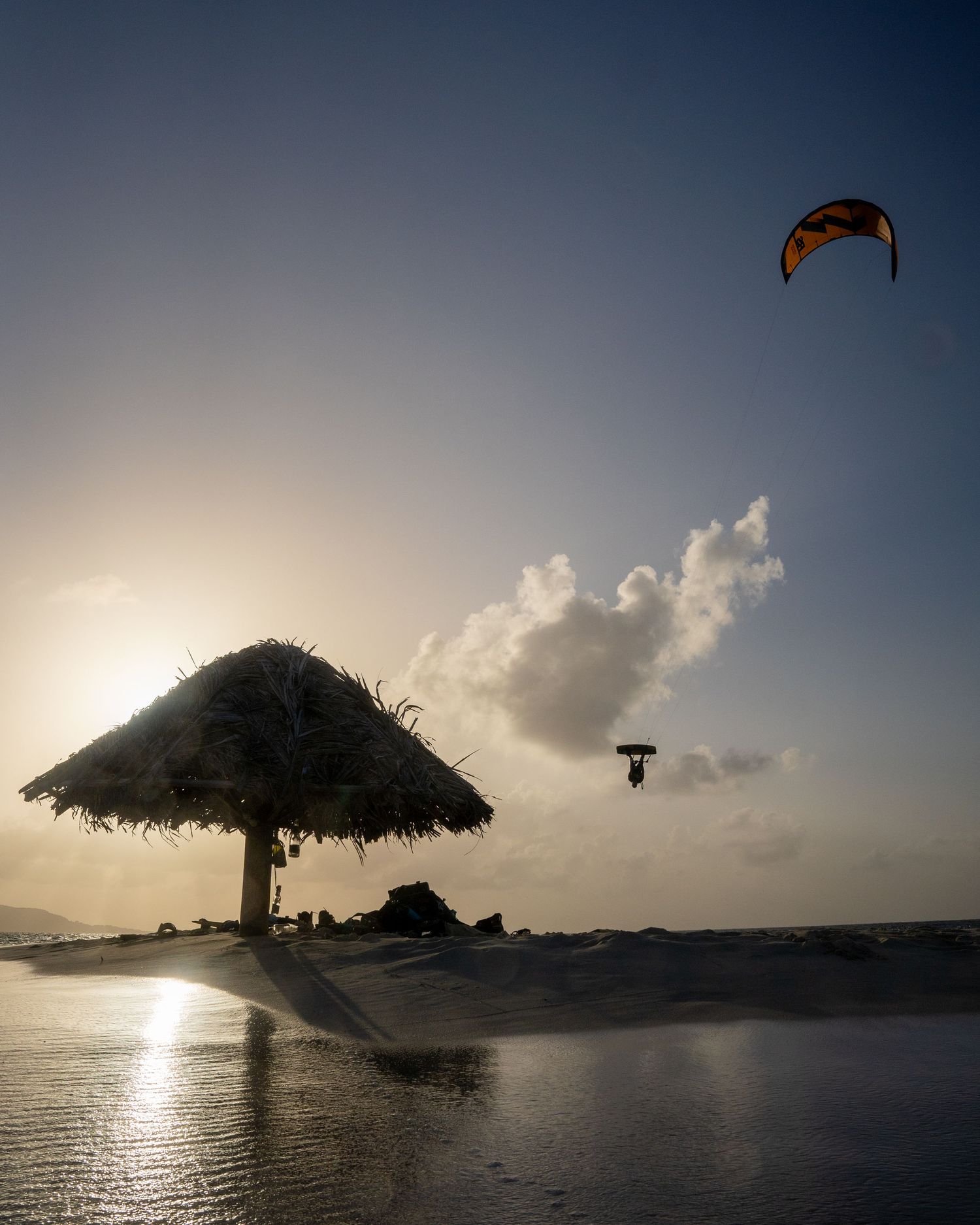 Panoramic silhouette of beach palm trees at sunset with kitesurfer in distance.