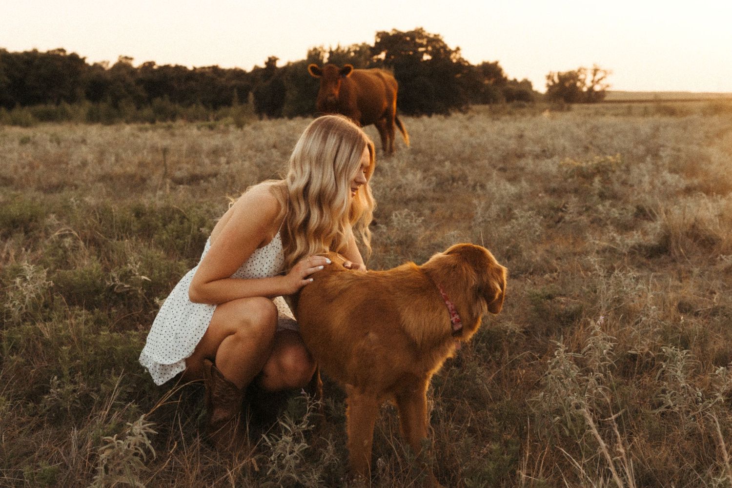 A blonde woman in a white dress crouches to pet a golden-brown dog in a sunlit field at golden hour.