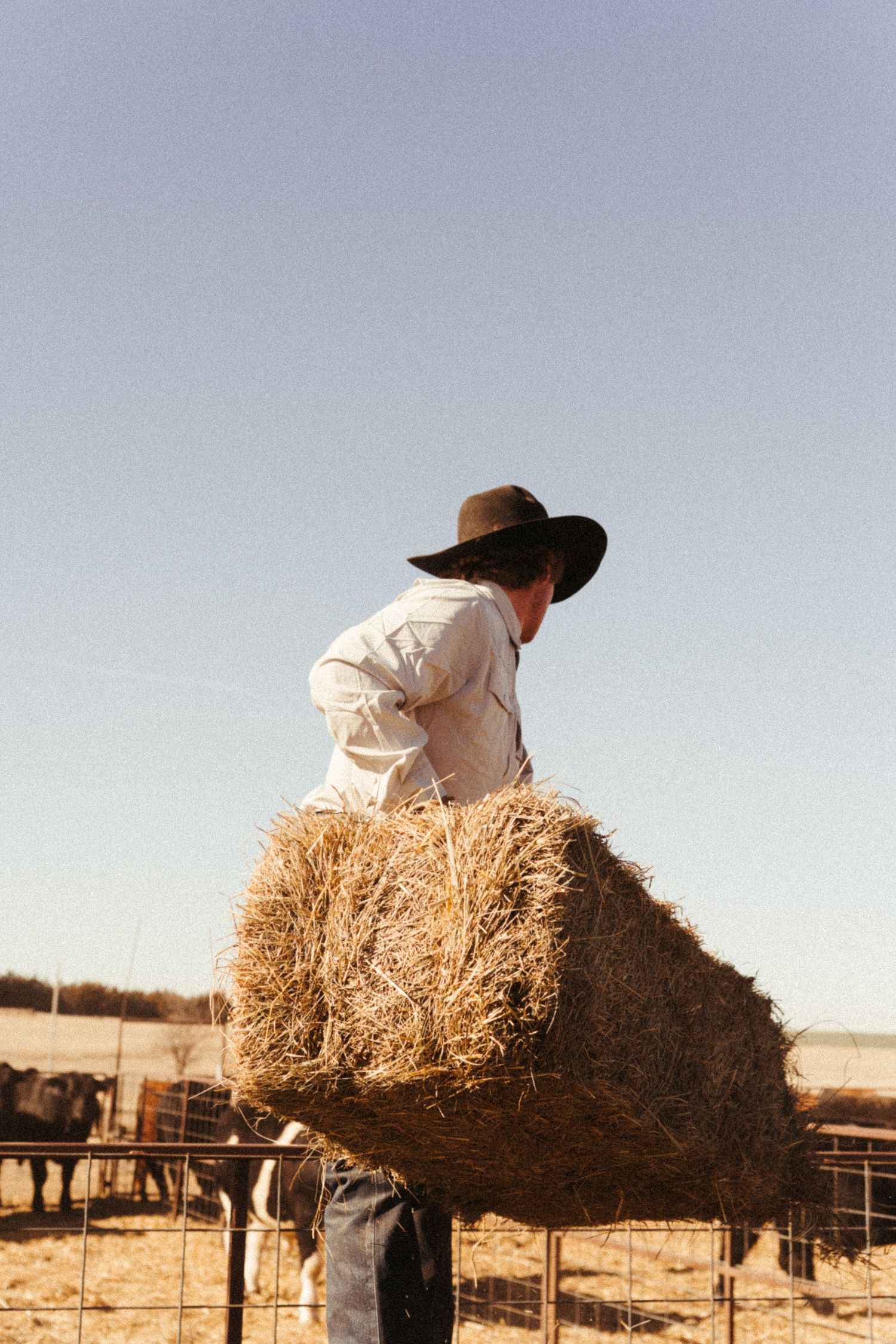 Farmer in cowboy hat lifting hay bale over fence on sunny farm day.