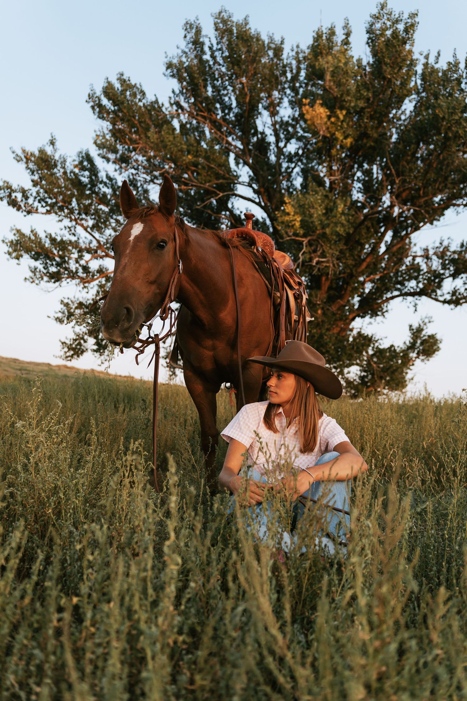 Young woman in cowboy hat sits in tall grass beside a chestnut horse near a large tree at golden hour.