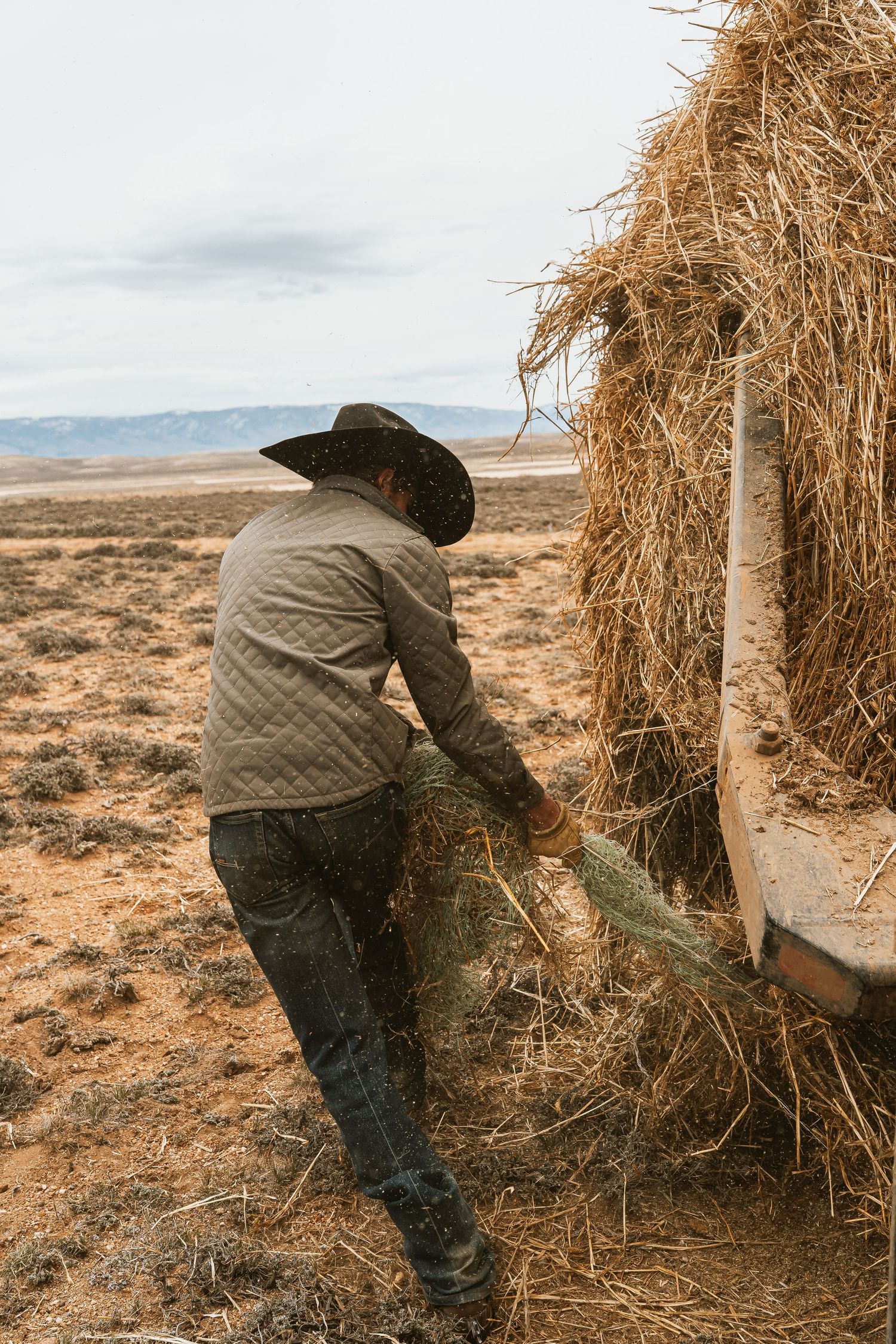 Cowboy in hat unloading hay bales in arid desert landscape with mountains in background.