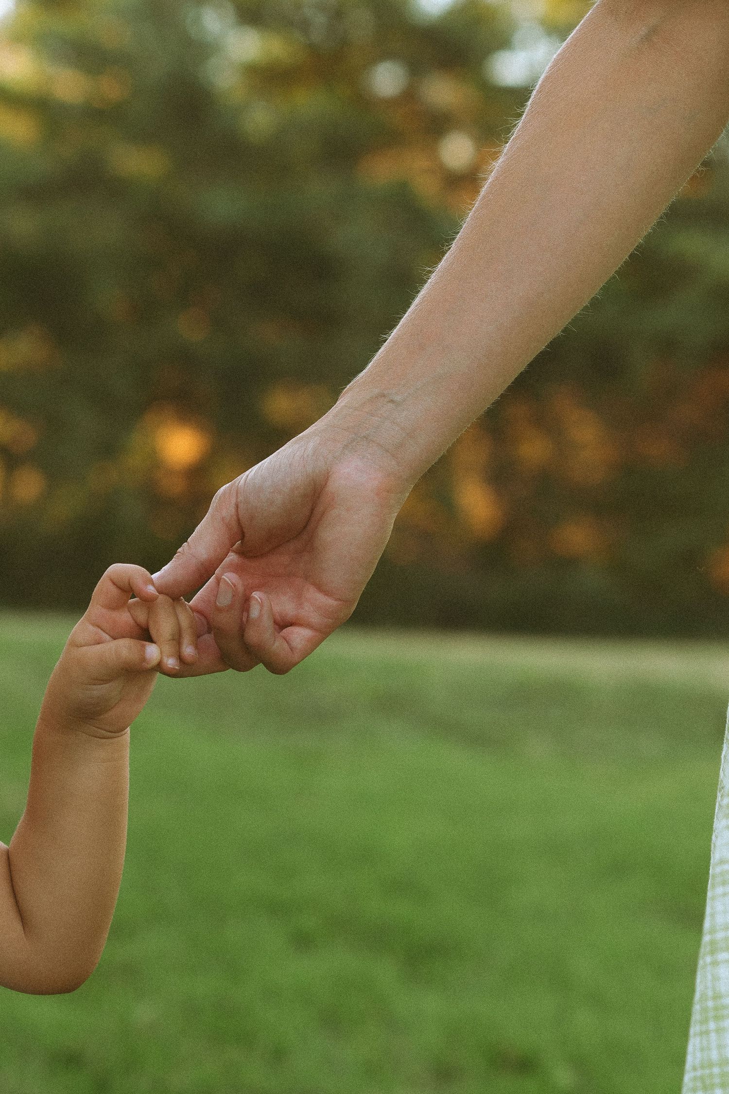 Close-up of adult hand gently holding small childs hand in green outdoor setting.