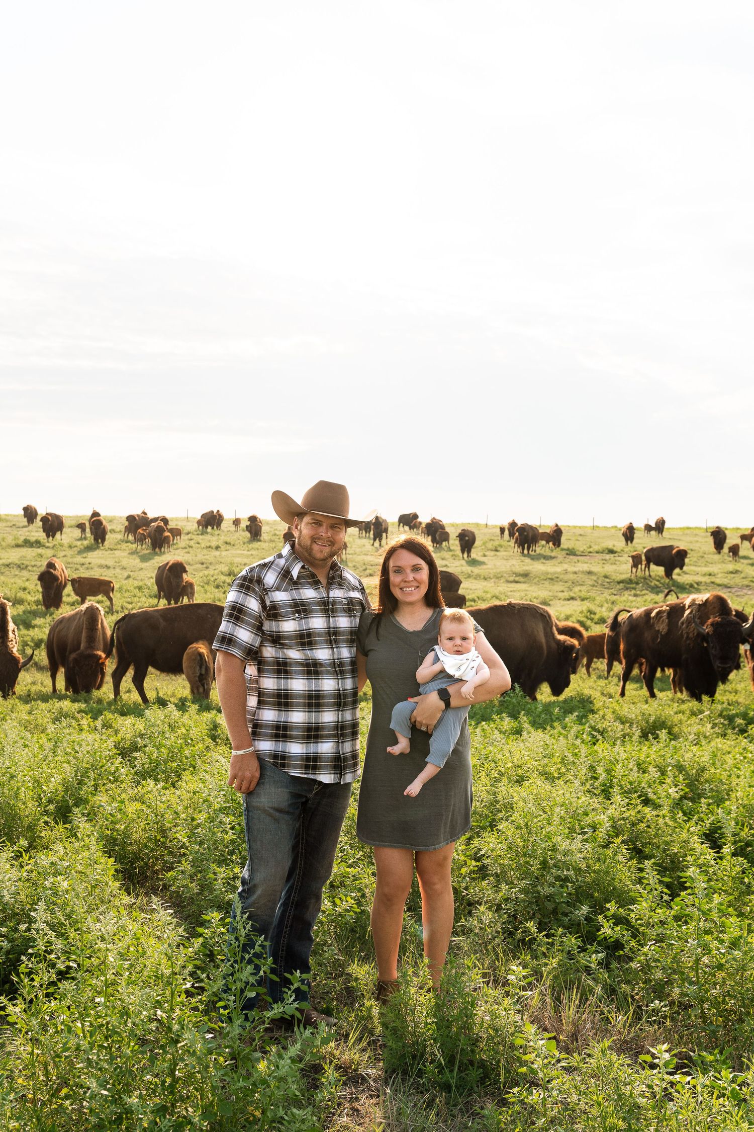 A couple holding a baby stands in a green field with a herd of bison grazing behind them.