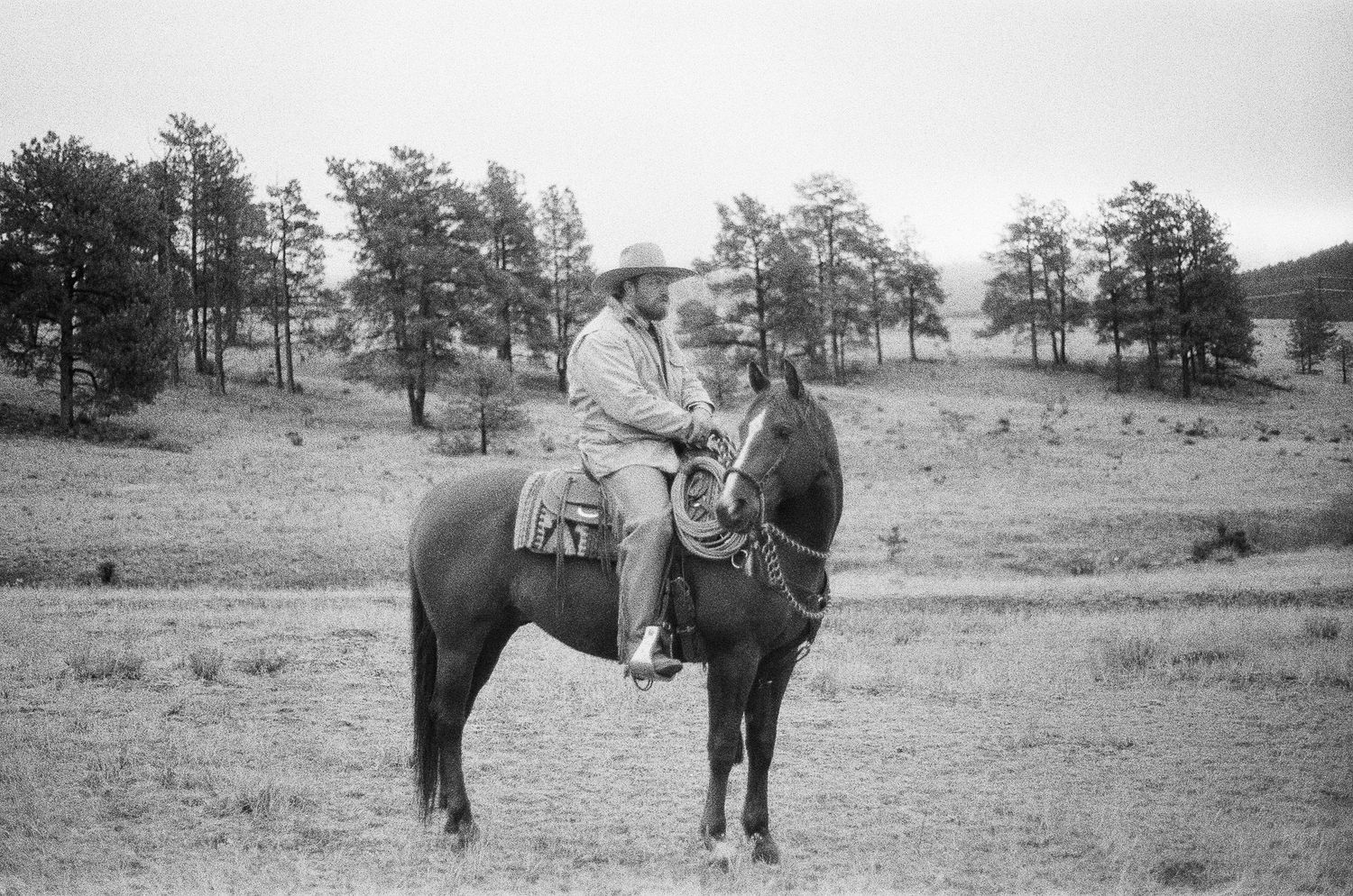 Black and white vintage photo of a person on horseback in a meadow with pine trees.