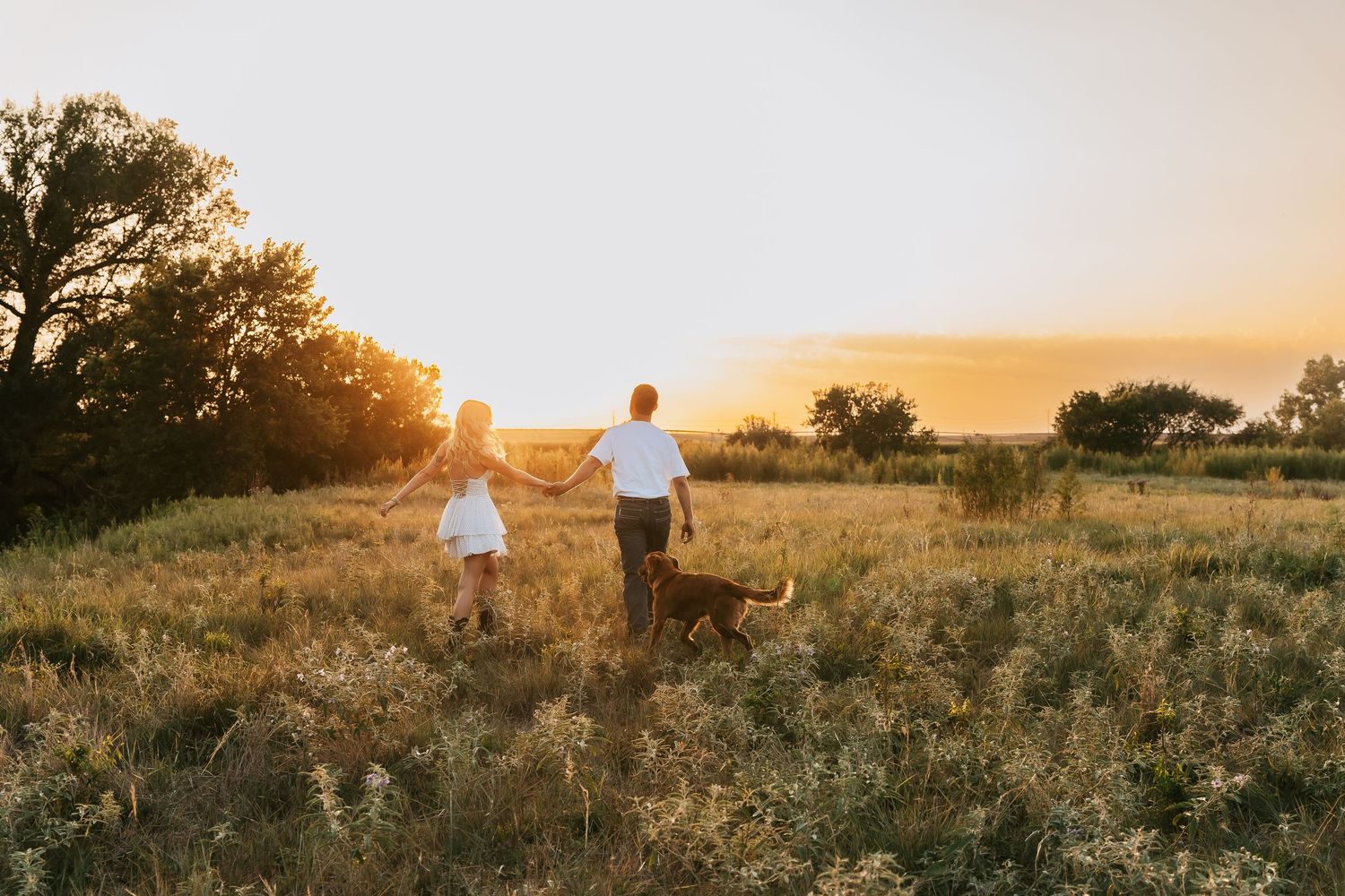 Couple holding hands walking with dog through golden sunset meadow from behind.