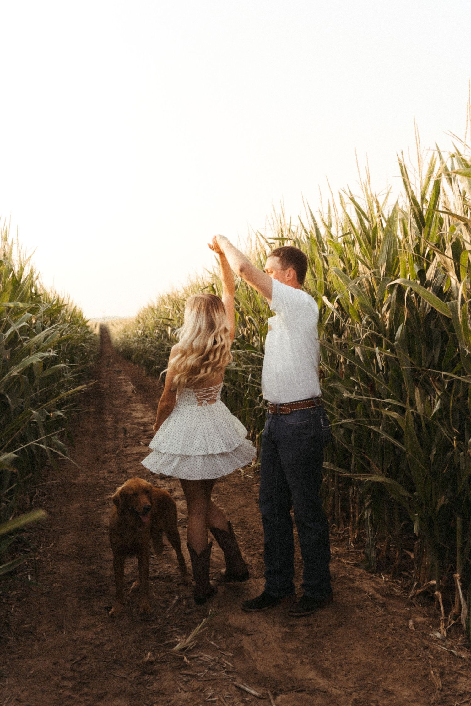 Couple dancing in a cornfield path with a brown dog, woman in white dress and boots, man in white shirt and jeans.