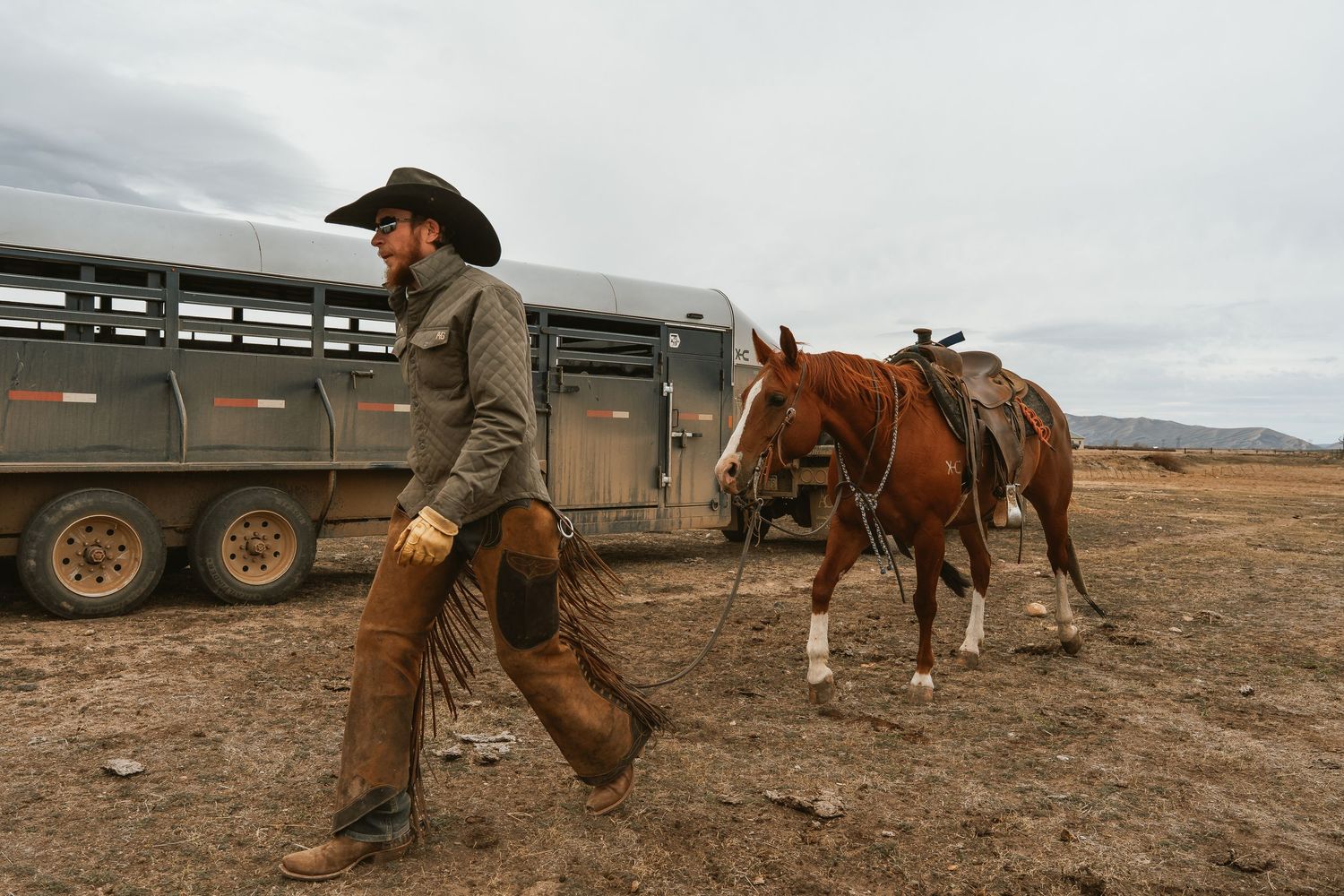 Cowboy in chaps and hat leads a saddled chestnut horse across dry terrain near a livestock trailer.
