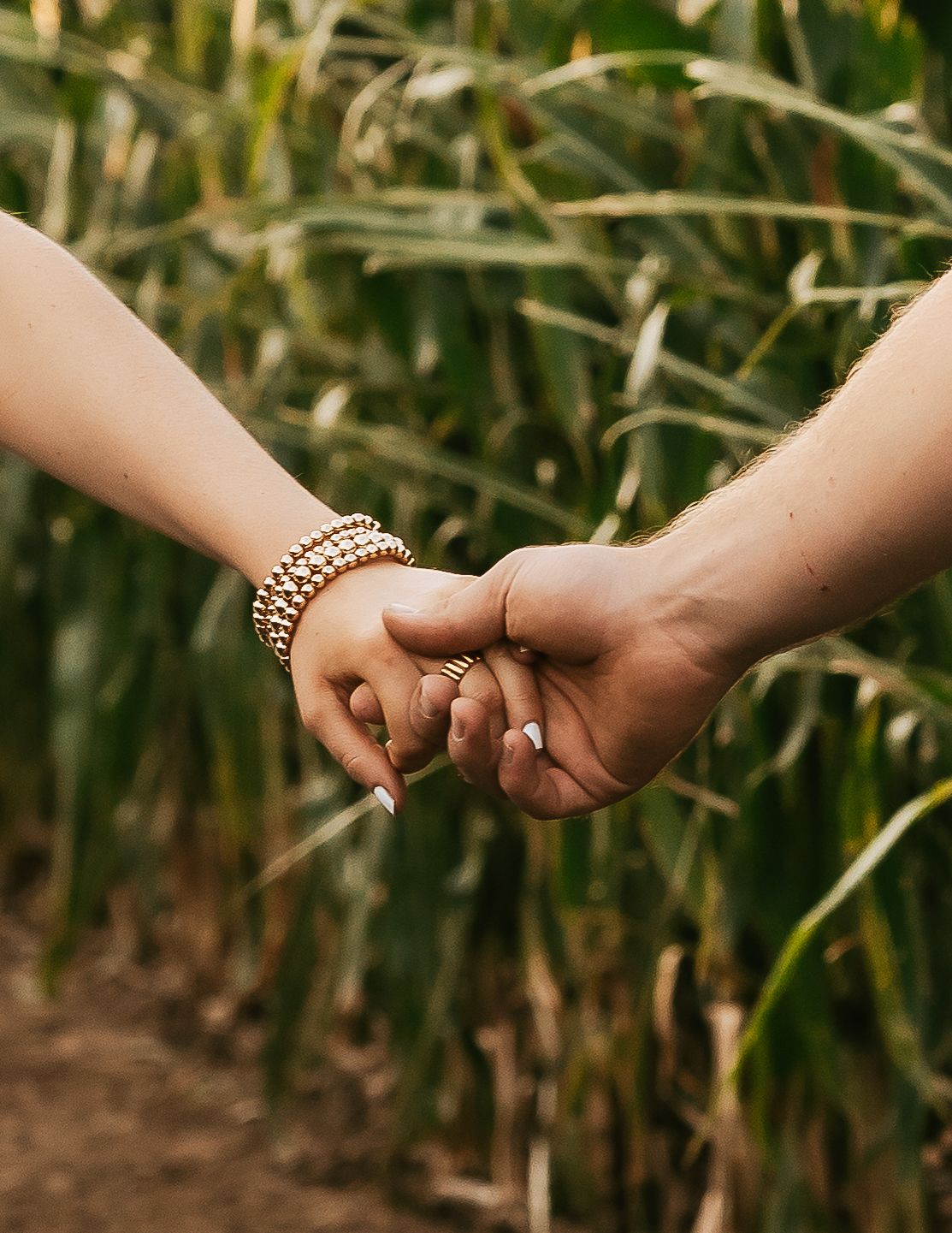 Two people holding hands with gold bracelets and a ring, standing in front of a lush green cornfield.